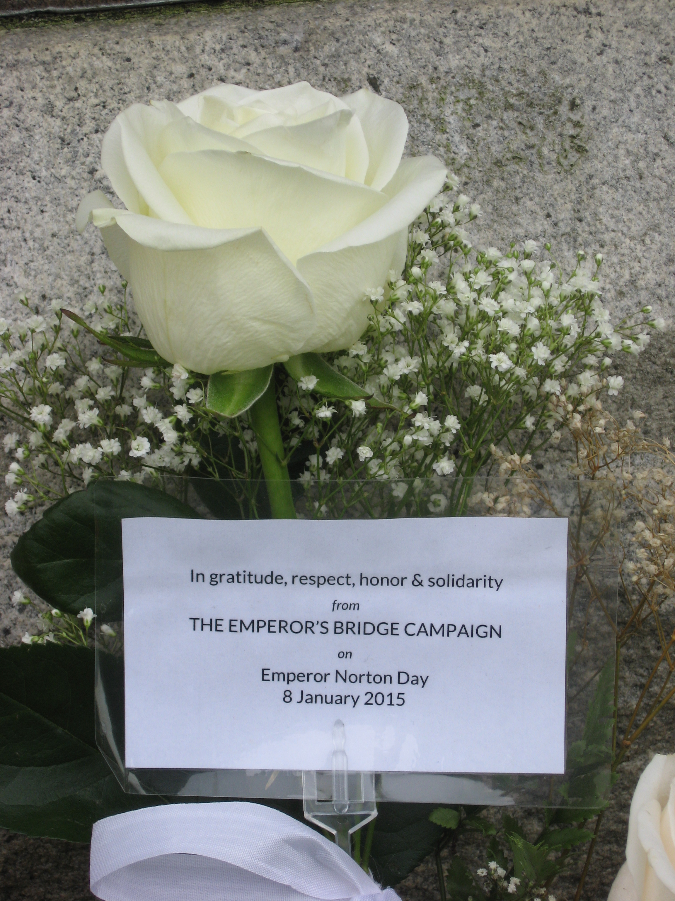 The rose and the note left by The Emperor's Bridge Campaign.