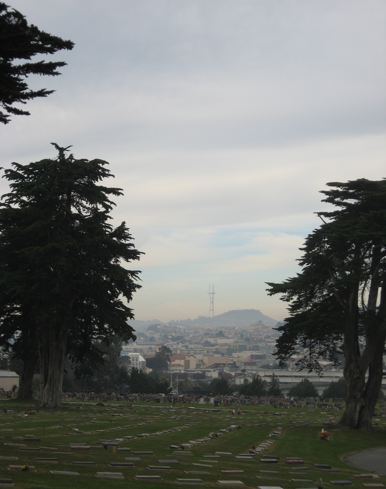 From Emperor Norton's grave, there is a view of Sutro Tower perfectly framed between two beautiful trees.