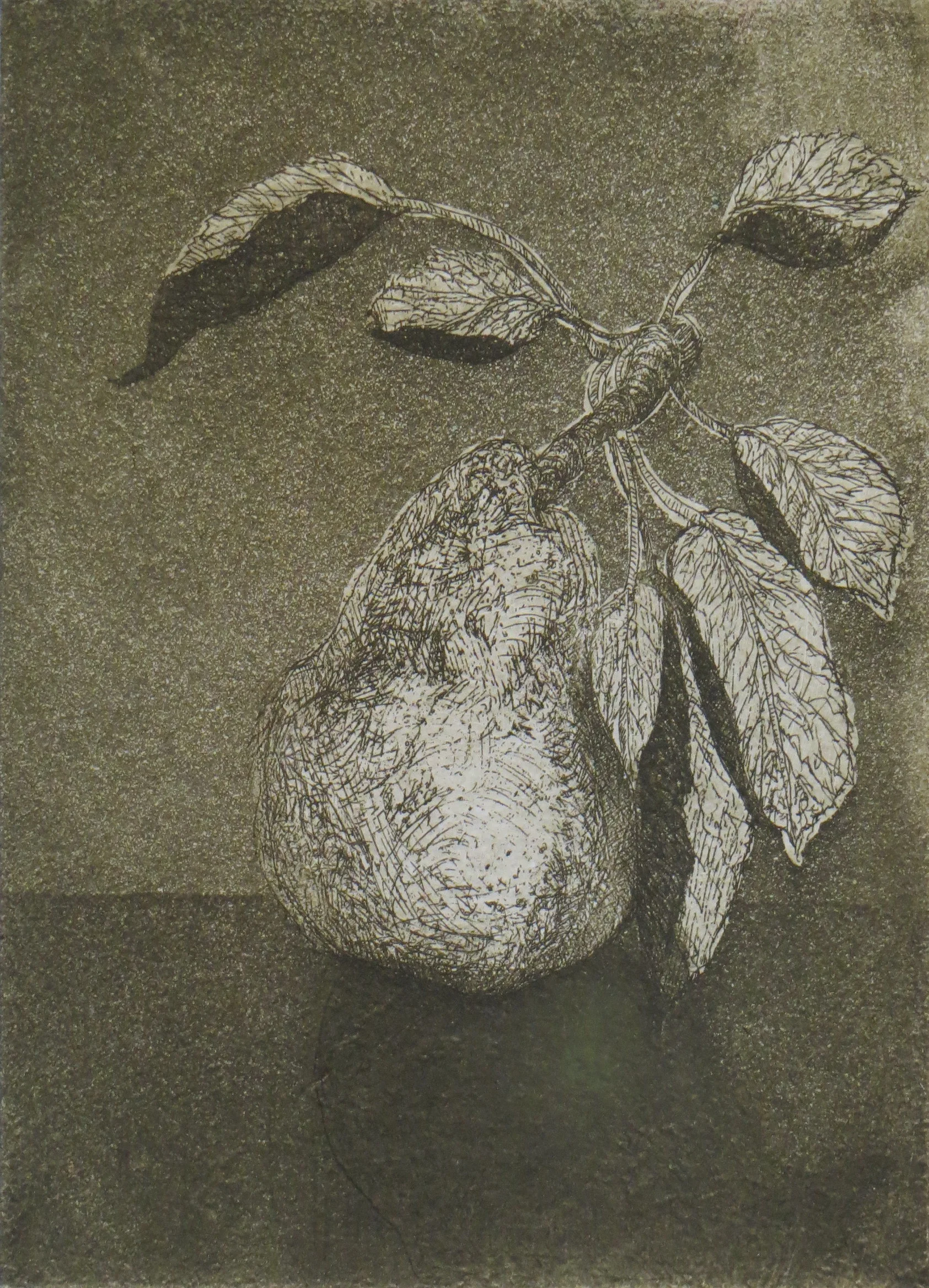 Pear • etching • 7 x 5