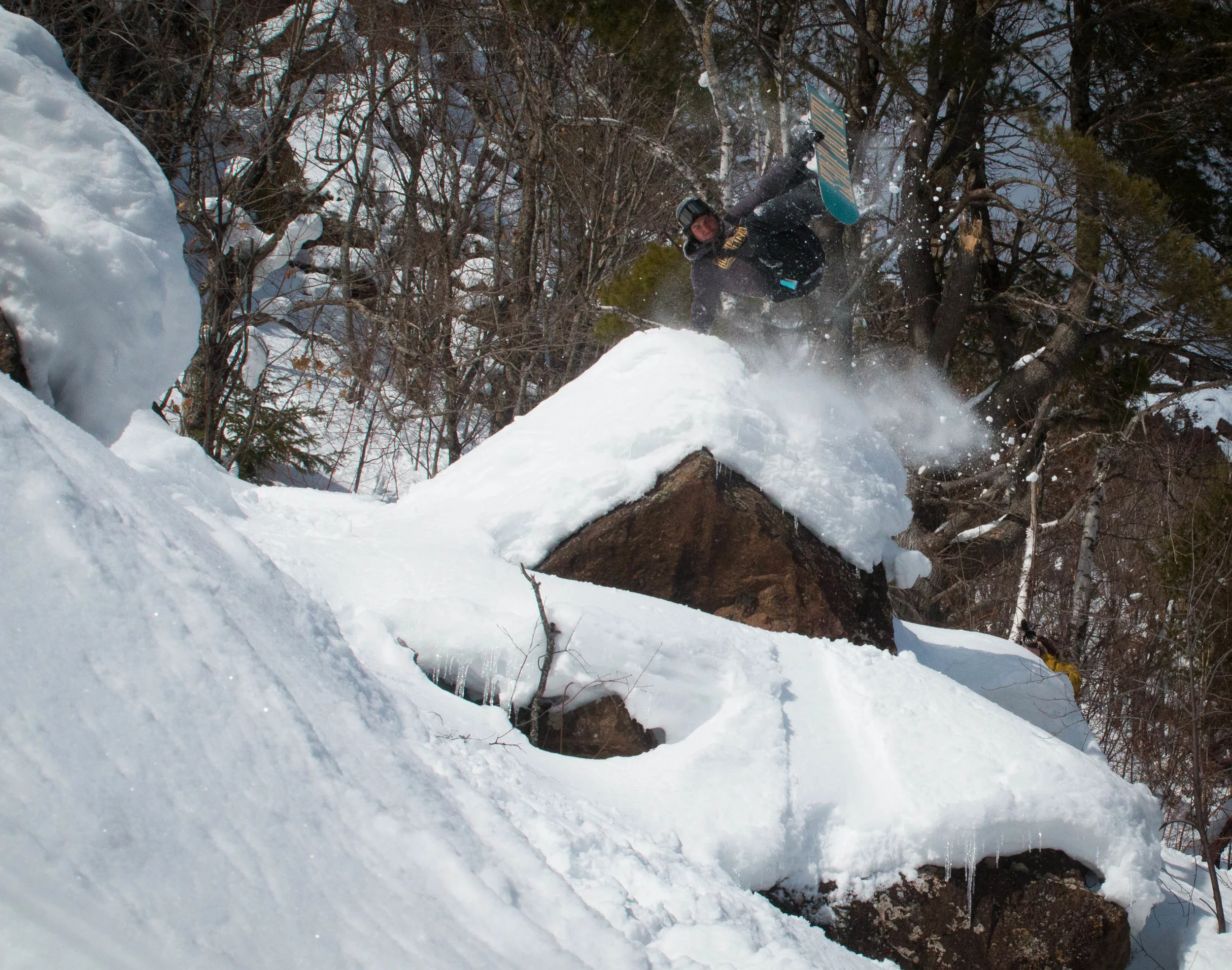 Bloodlines Collection Teaser 