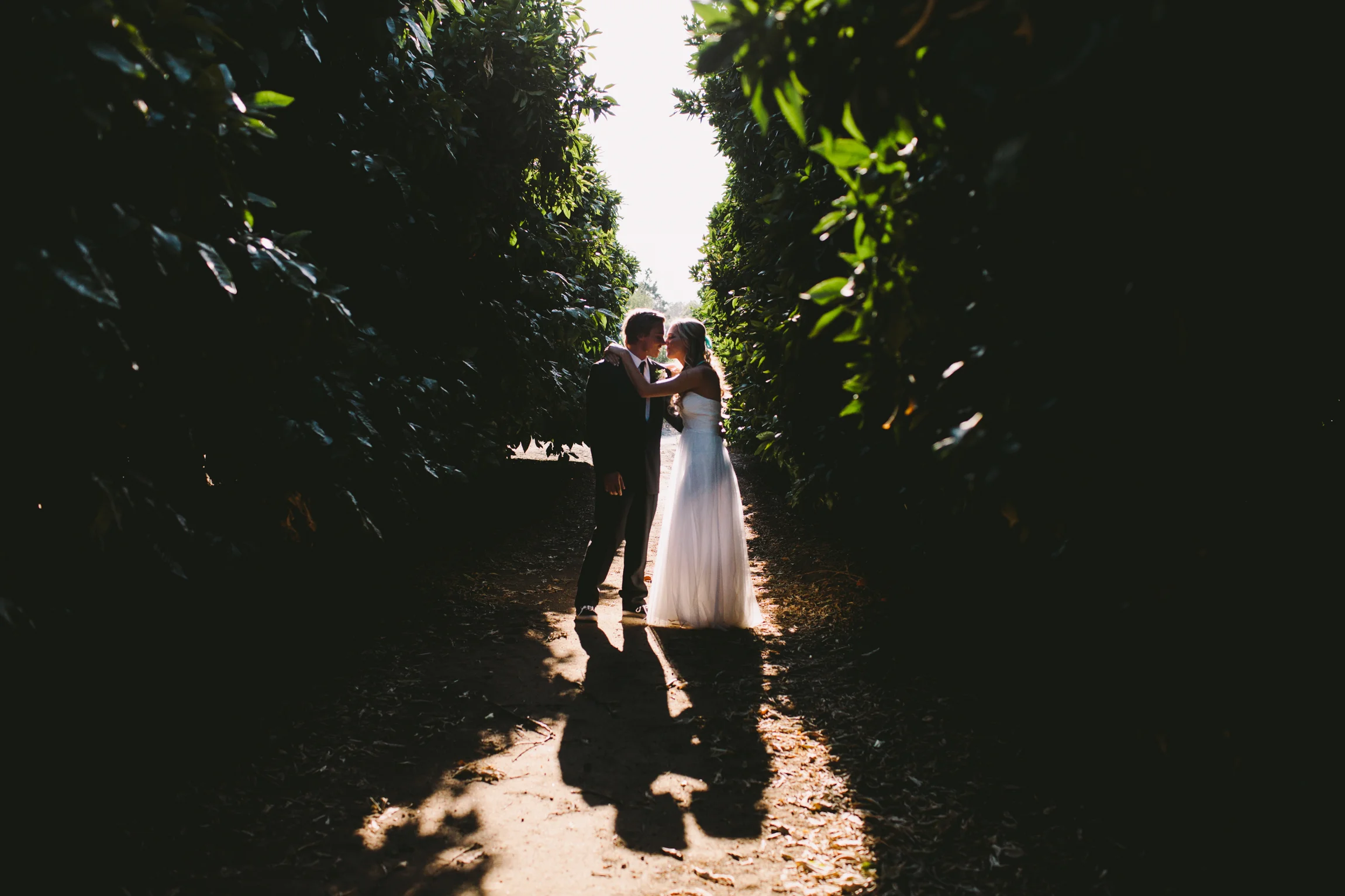 Wedding-3.jpg