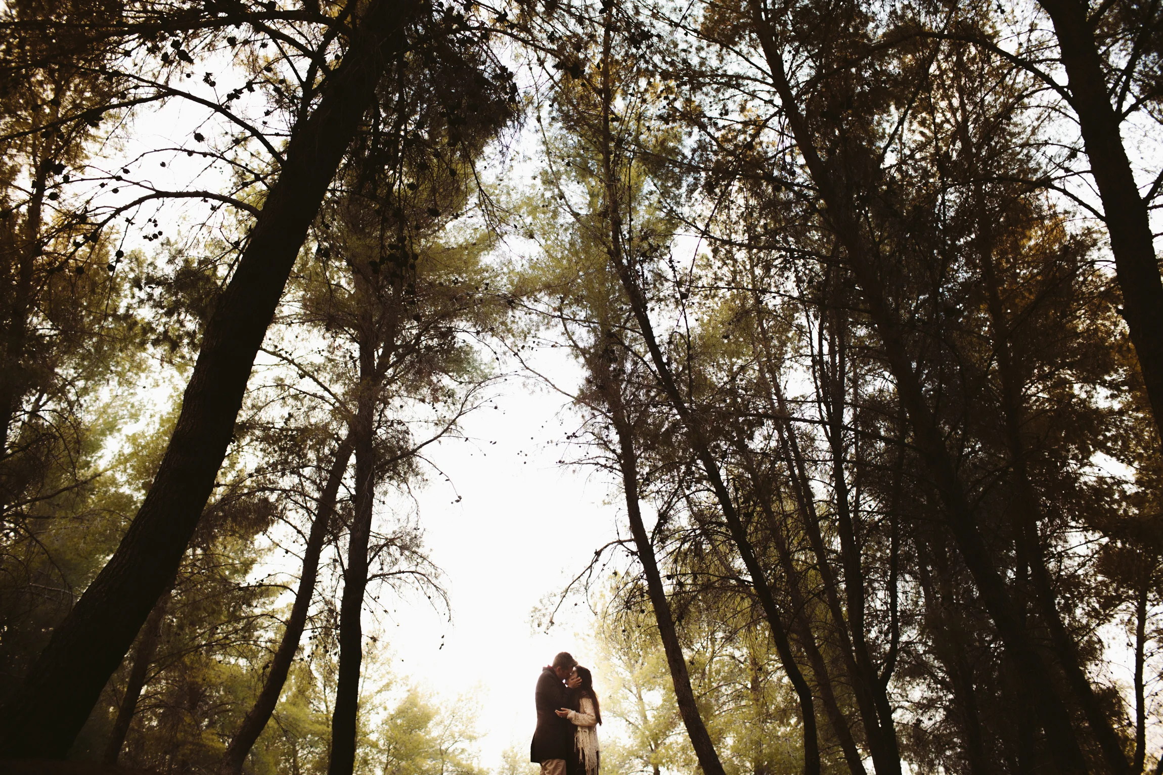 Wedding-14.jpg
