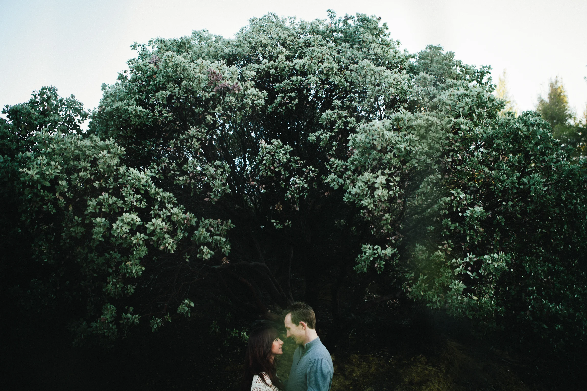 Wedding-24.jpg