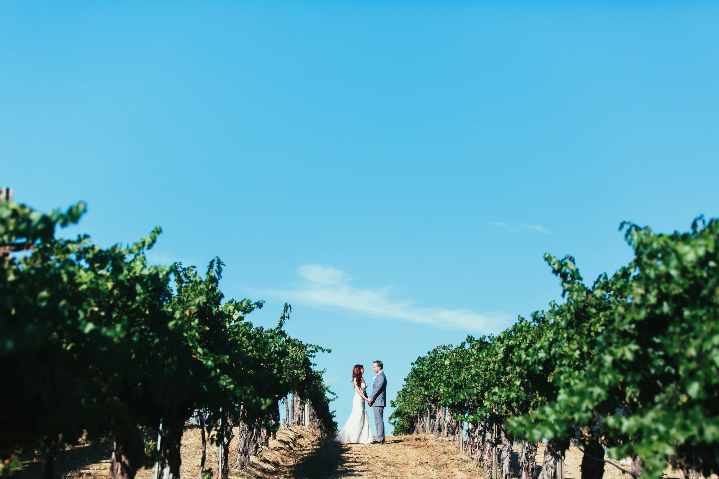 Wedding-50.jpg