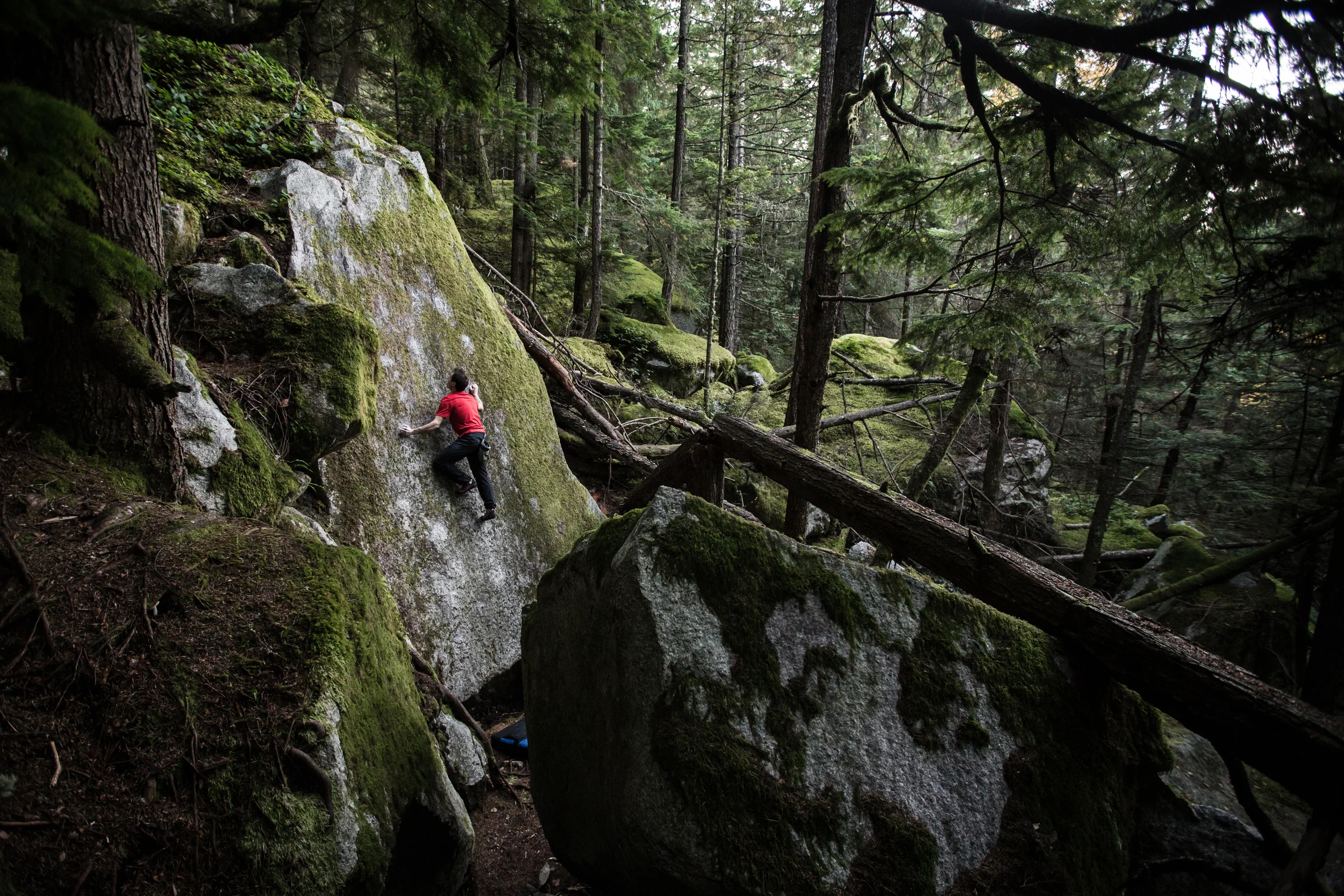 Carlo_Squamish Slab_Mary Mecklenburg Photo.jpg
