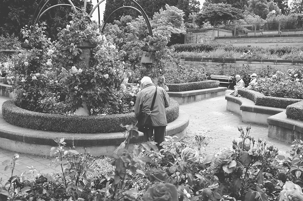 DSCF1926-nt-sml.jpg