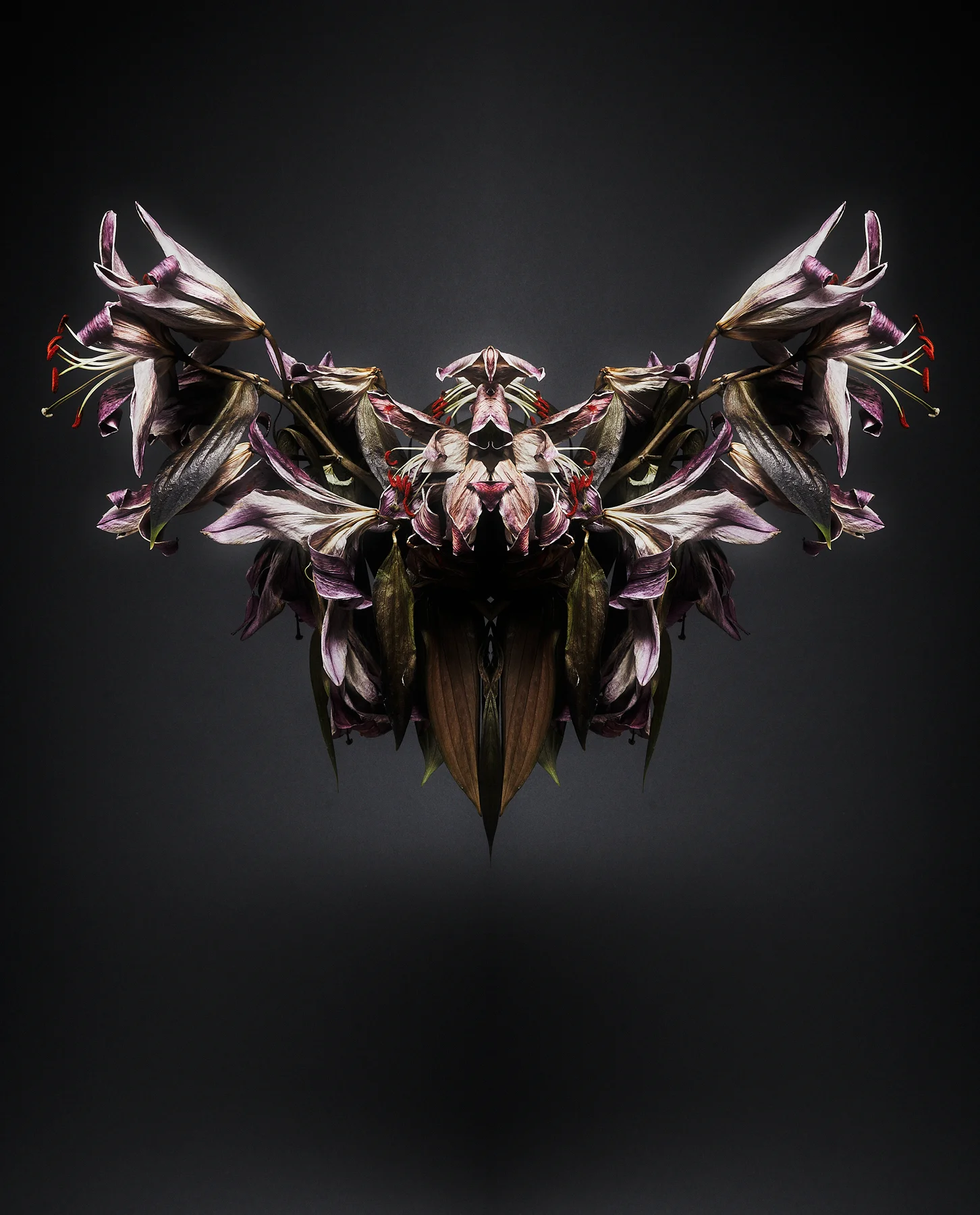 Halcyon07.jpg