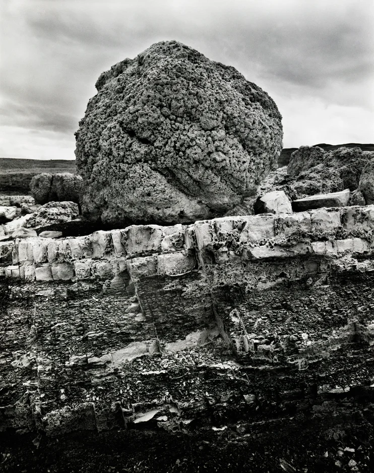 Stromatolite