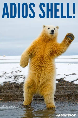 adios-bear.jpg