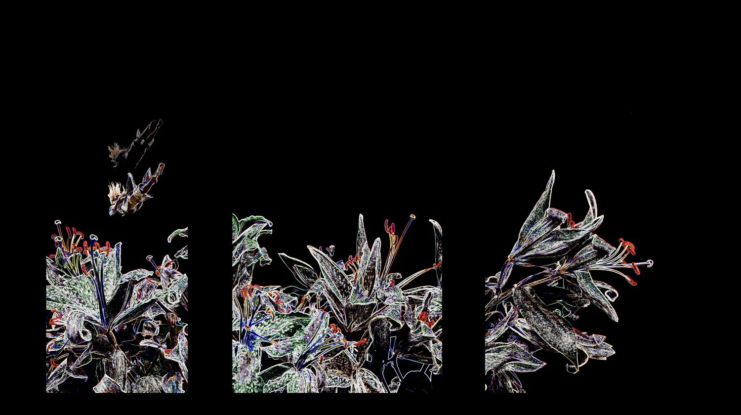  The three panels are shown here as they were configured in the working composite video file. Each panel was separated for projection across the elongated spacing between the window bays in the laneway. 