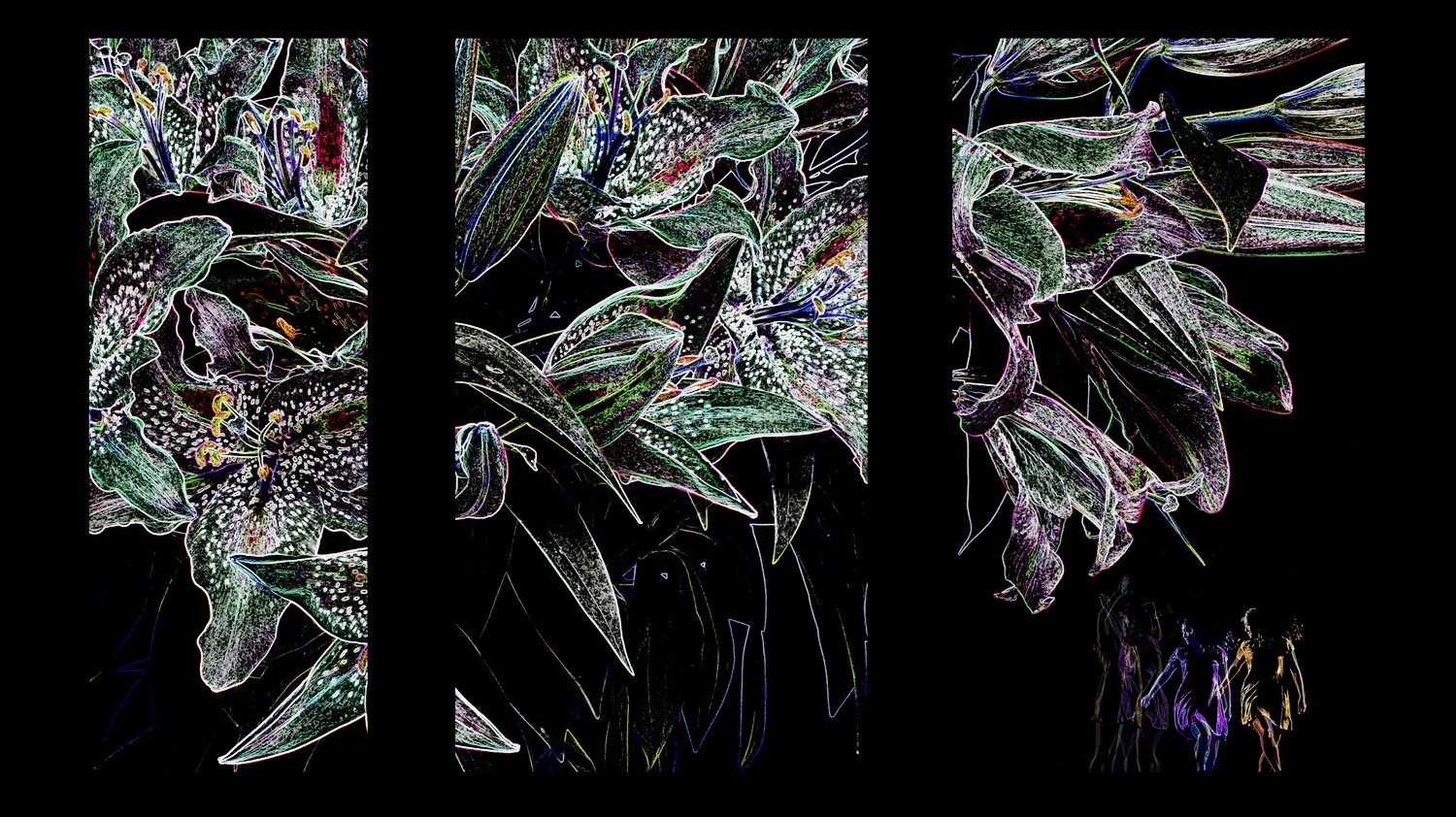  A still image extracted from he working video file. 