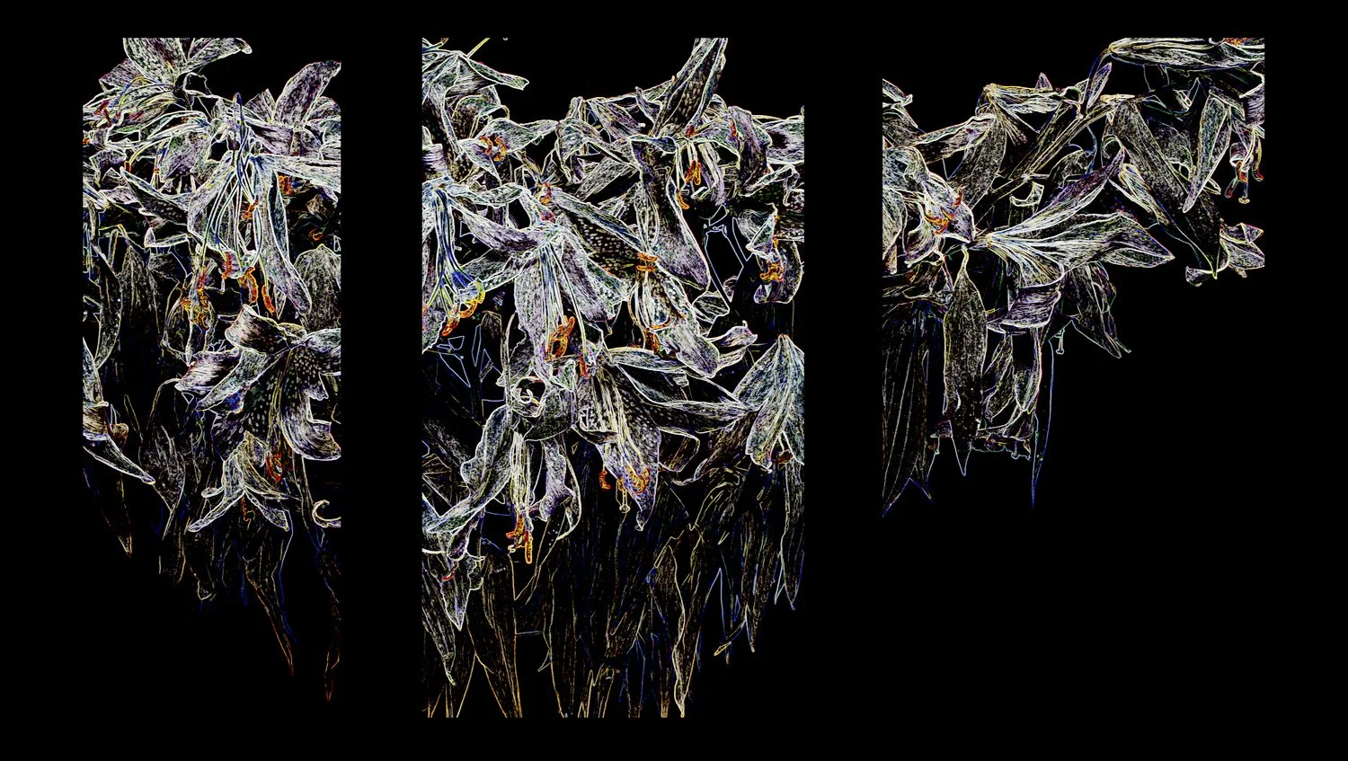  A still image extracted from he working video file. 