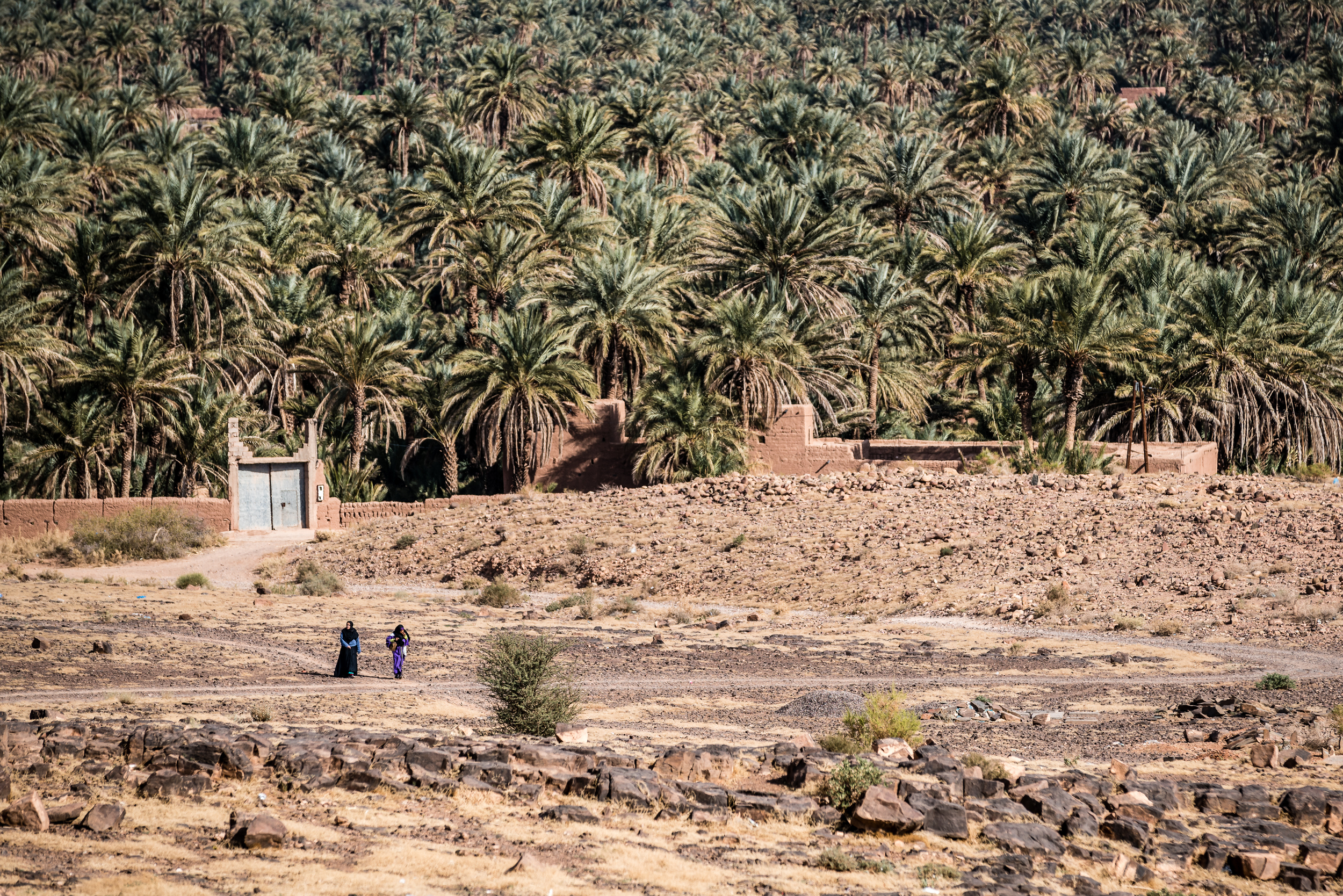 morocco by jb rasor-1-2.jpg