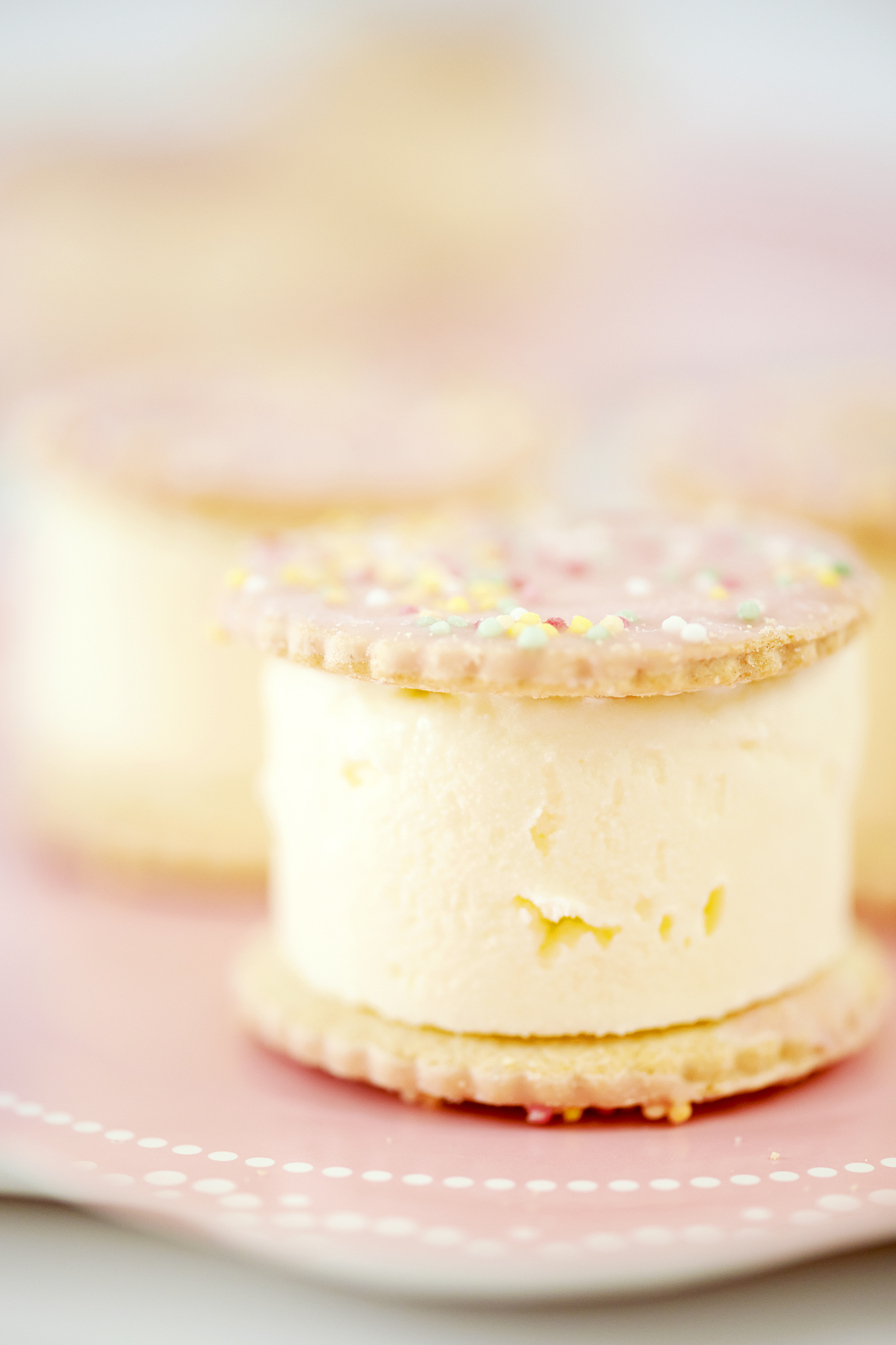 Ice Cream Sandwiches (LoveJK Mag Ed 4 & My Little Tribe Photography).jpg