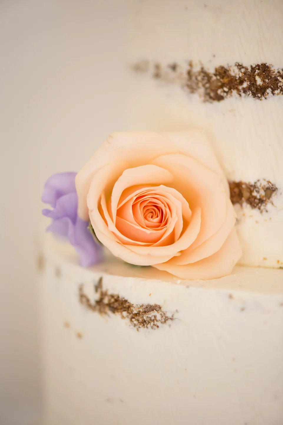 098DSC_5252 elise.jpg