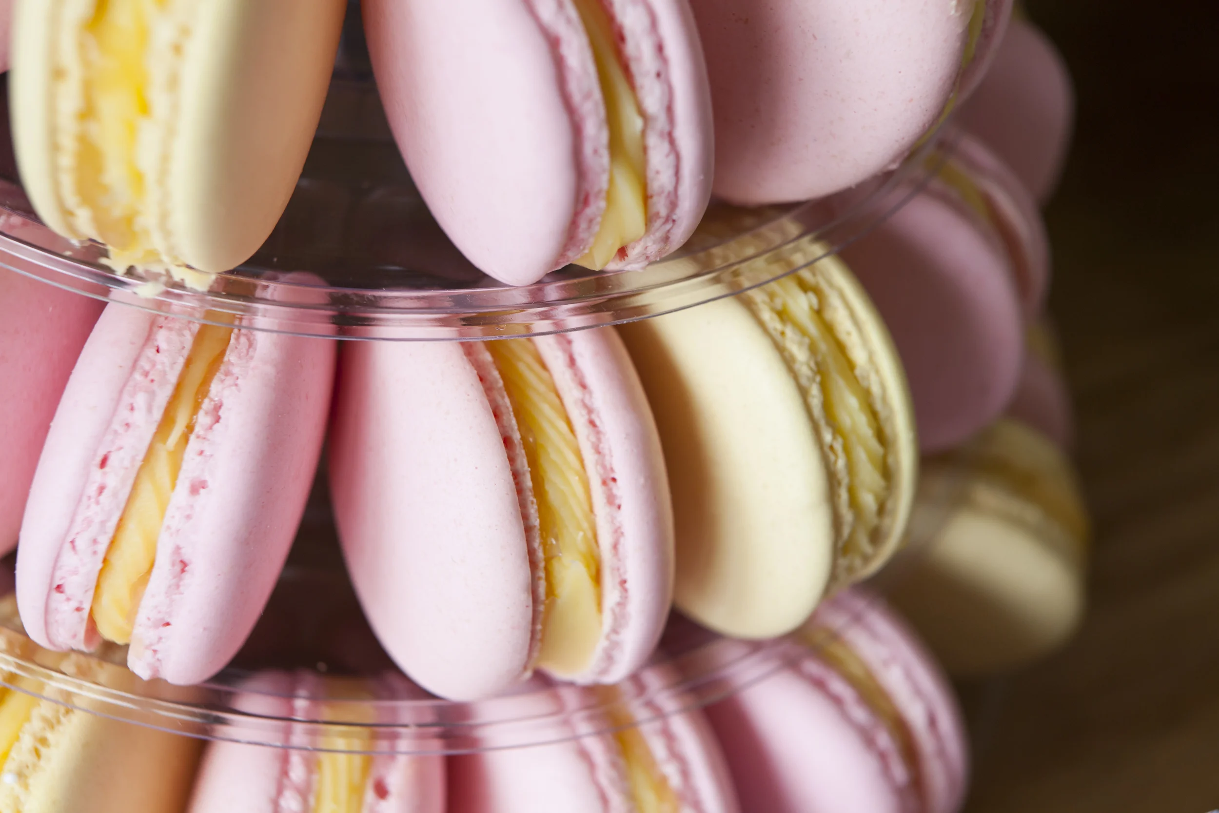 046_MG_6917 baby shower.jpg