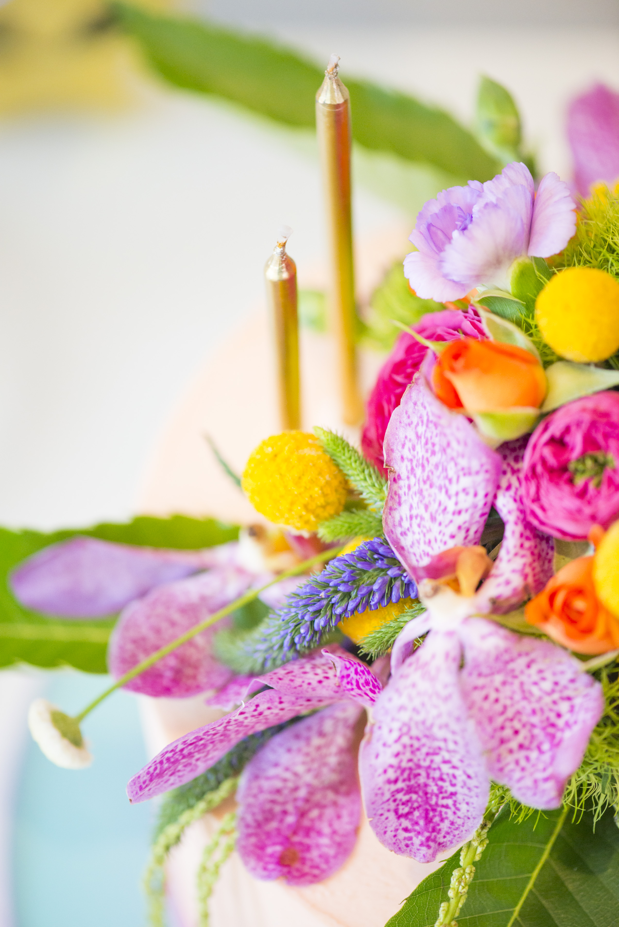 005DSC_2802 fiesta.jpg