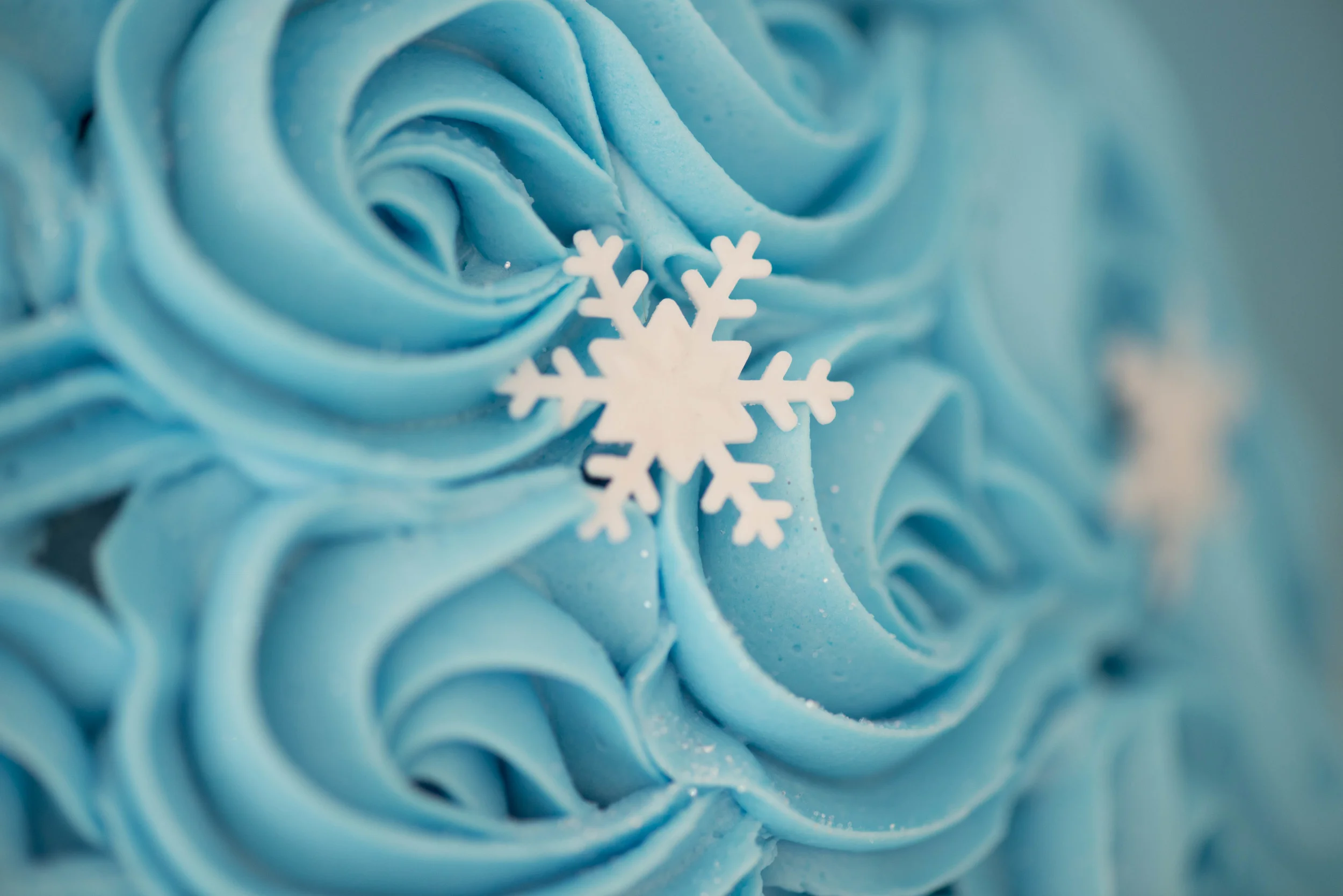 frozenlovejk-8008866.jpg