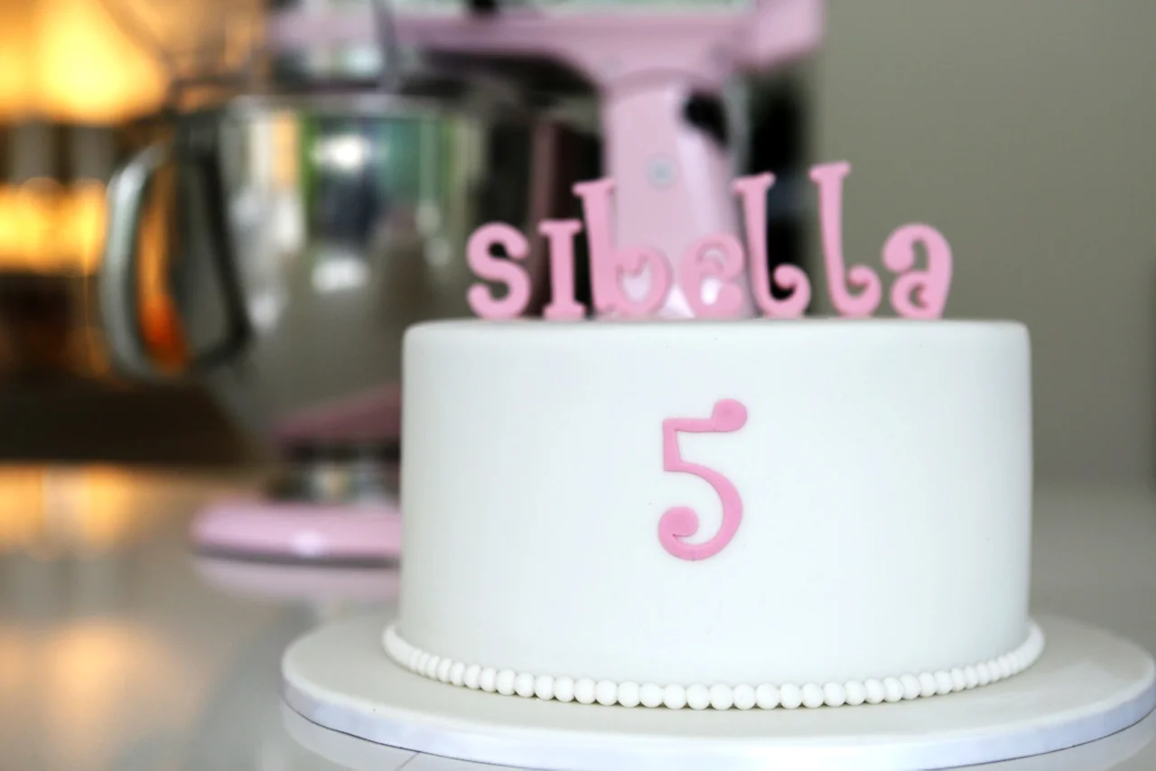 Sibella's 5th Birthday 2014 2.jpeg