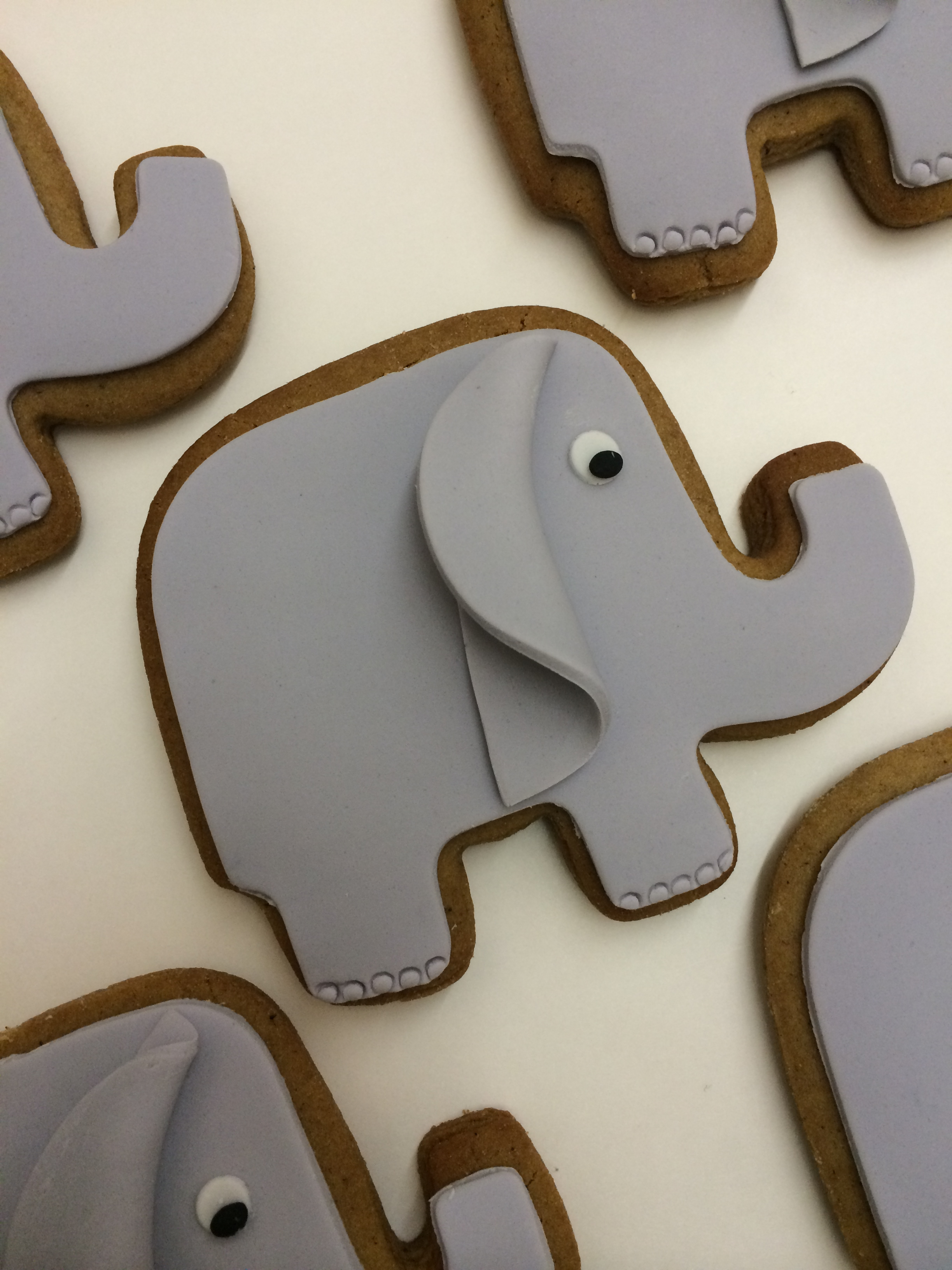 Autumns Elephant Animal Biscuits 2.png