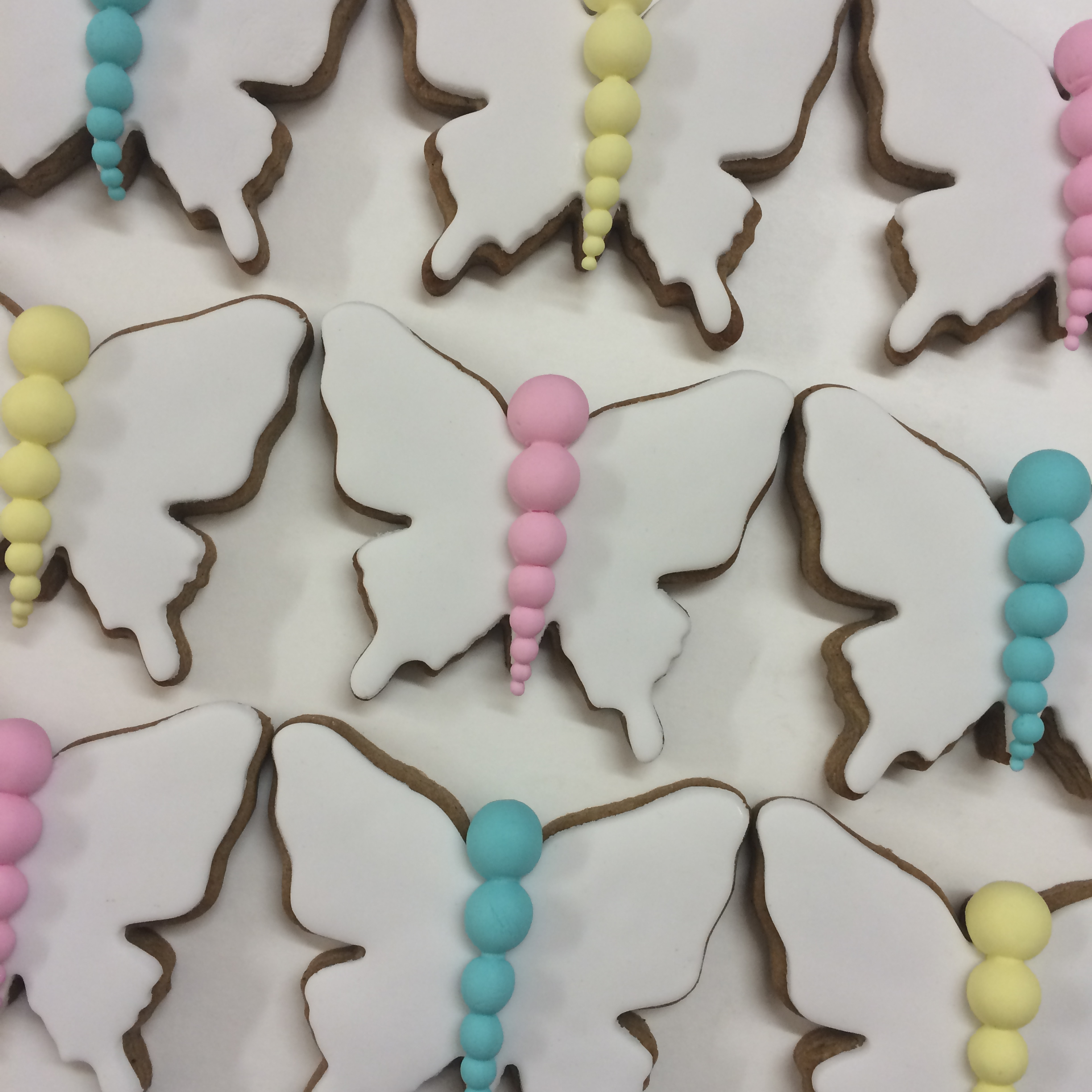 Butterfly Biscuit 2.png