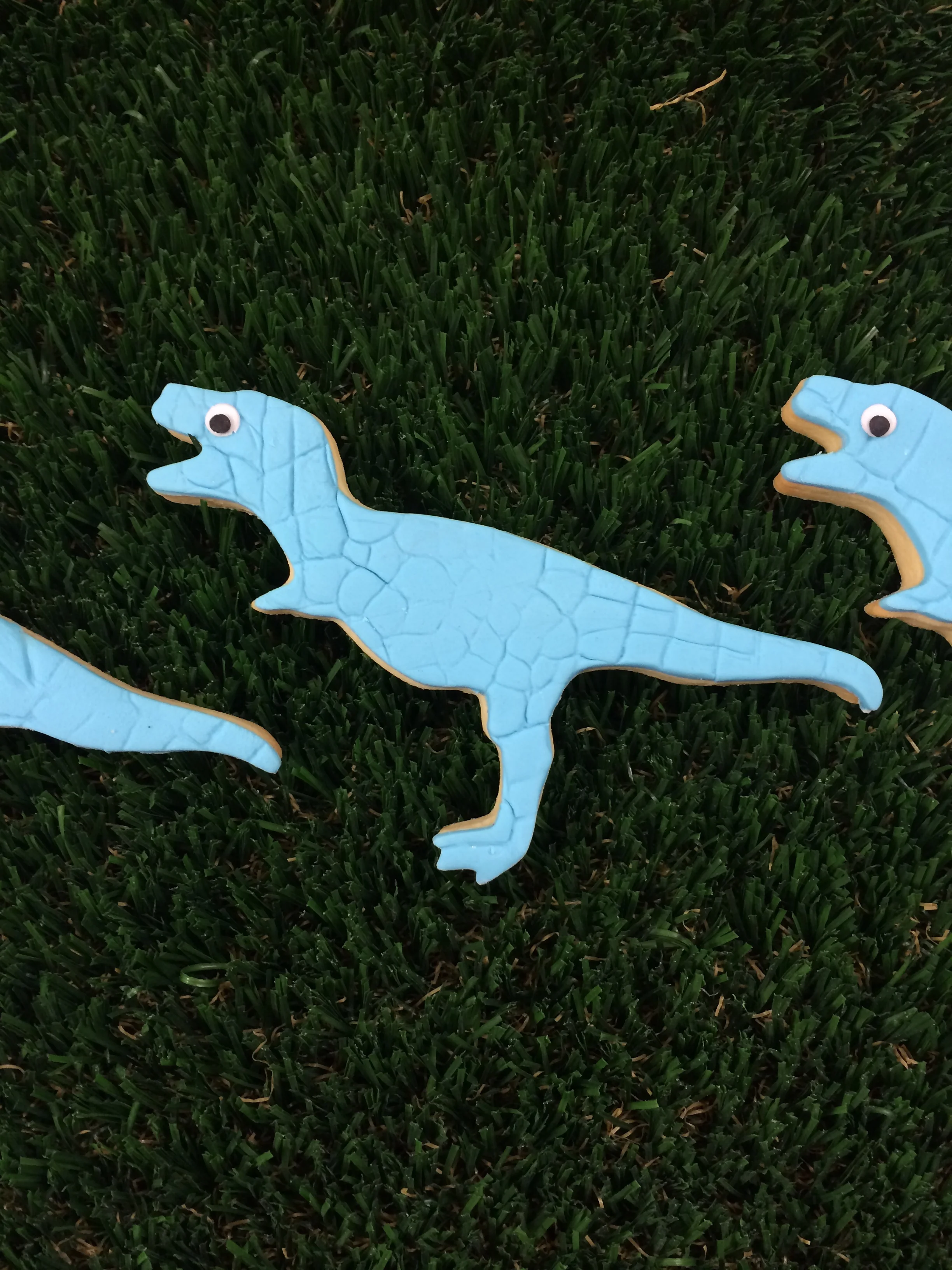 Dinosaur Biscuits 4.JPG