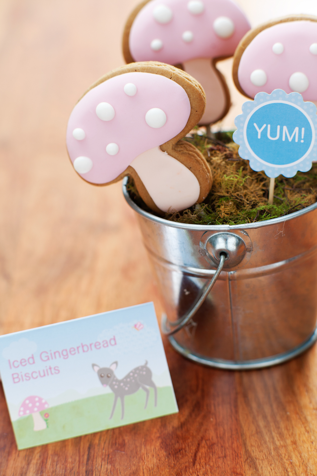 Mushroom Biscuit Pops (Matt Burke Photography).jpg