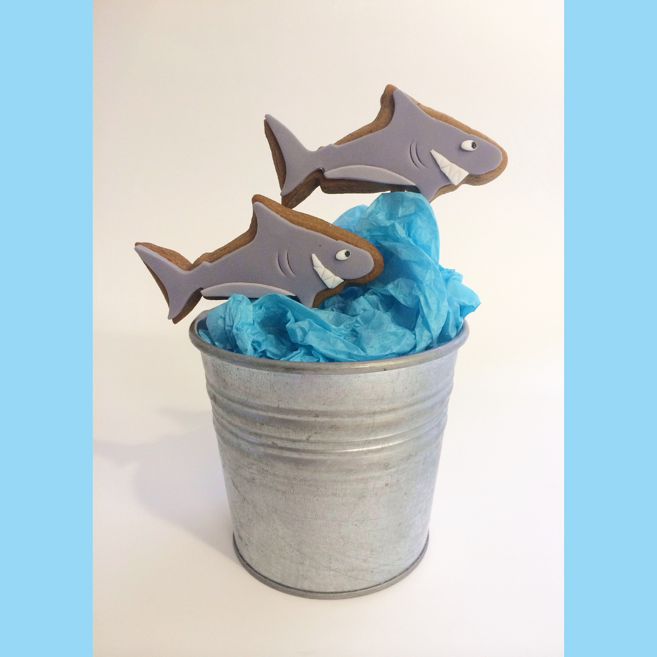 Shark Biscuits for Max 2.png