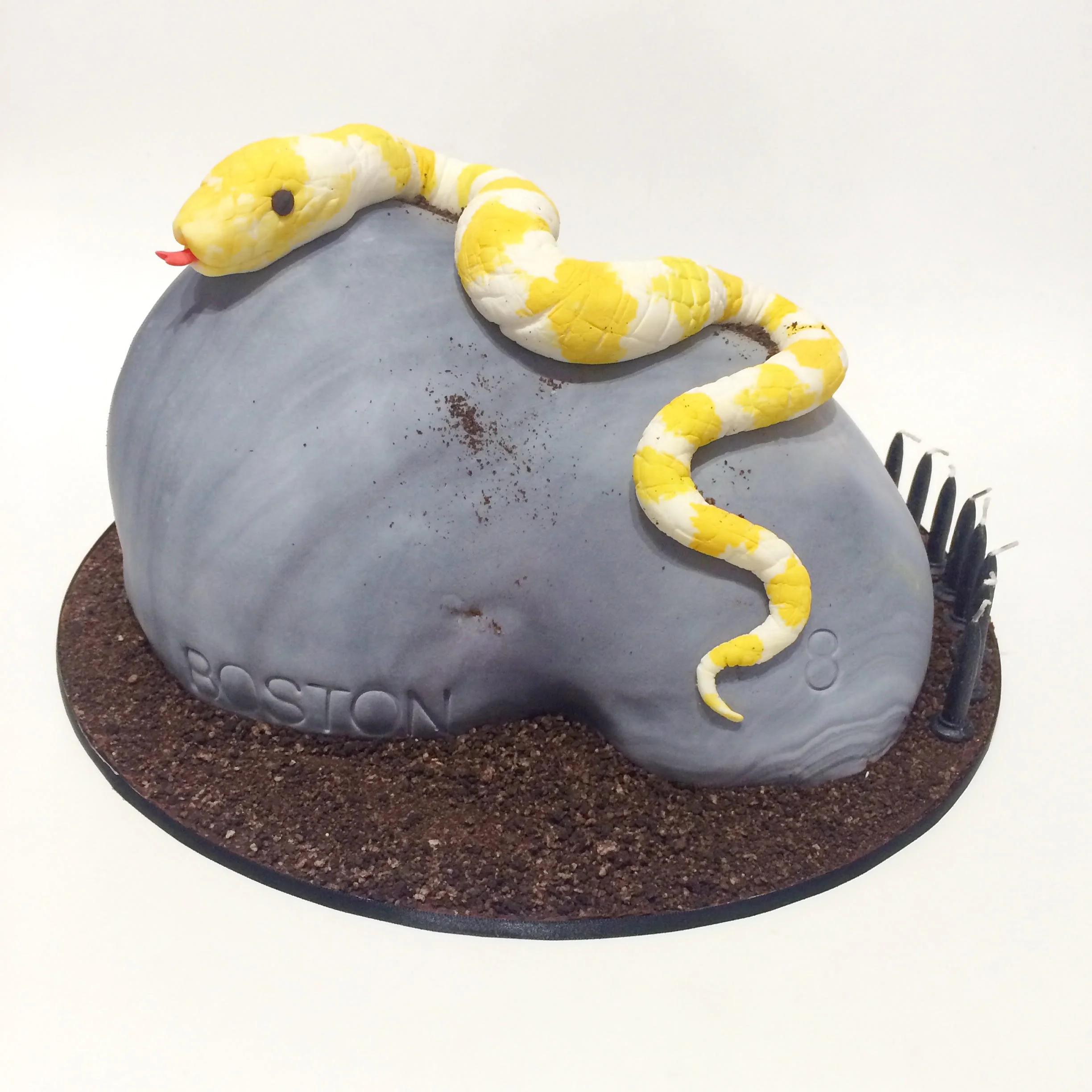 Snake Reptile Cake.jpg