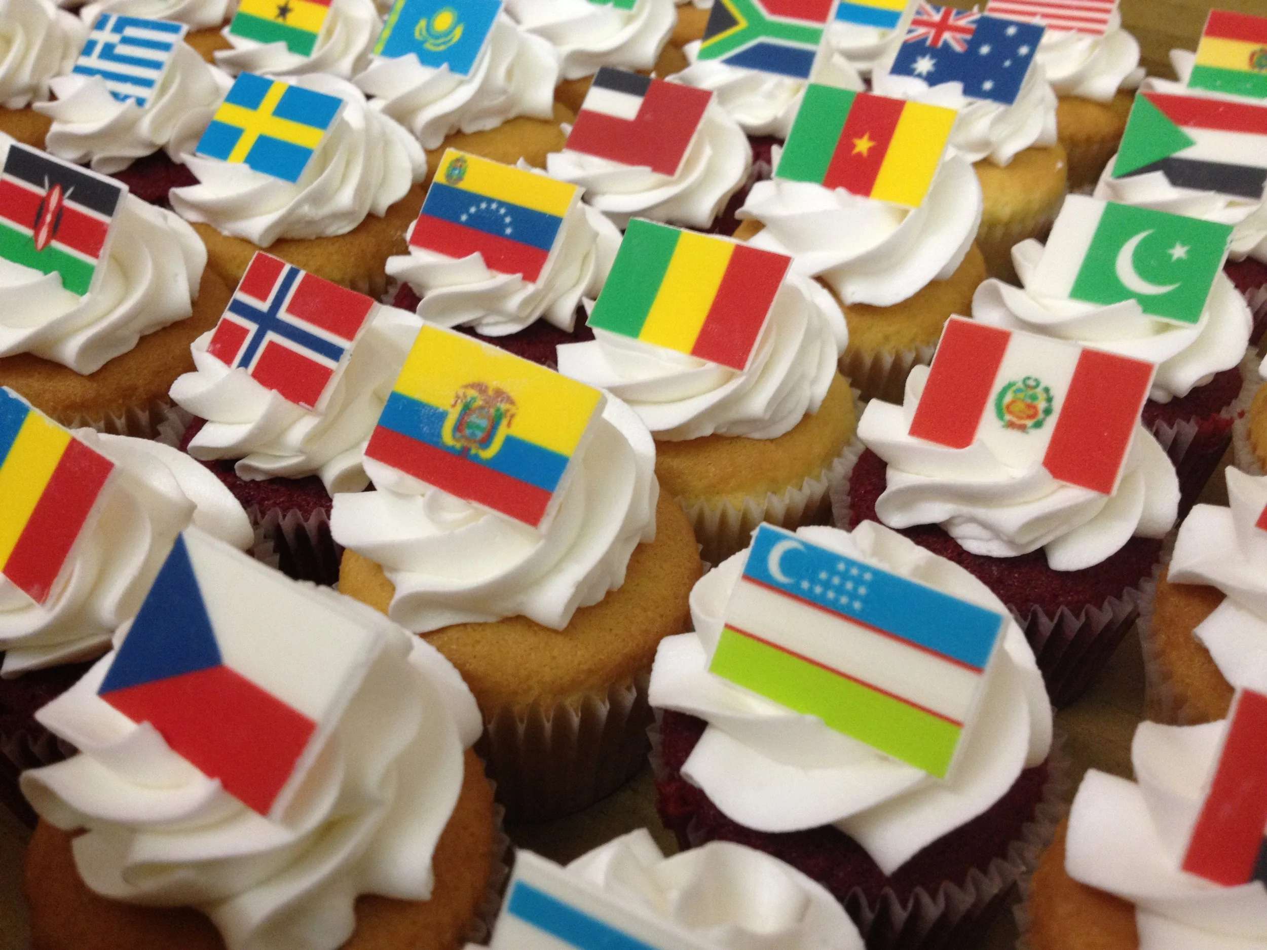 Flags of the World Cupcakes.JPG