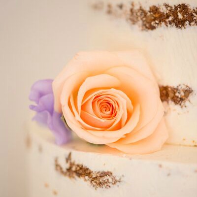 Peach Rose Naked Cake Square.jpg