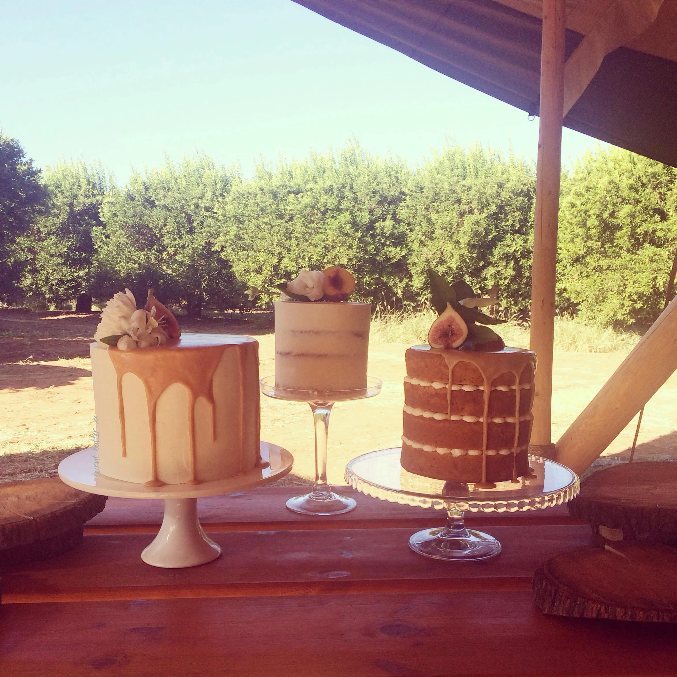 Louise & Justin 2.jpg