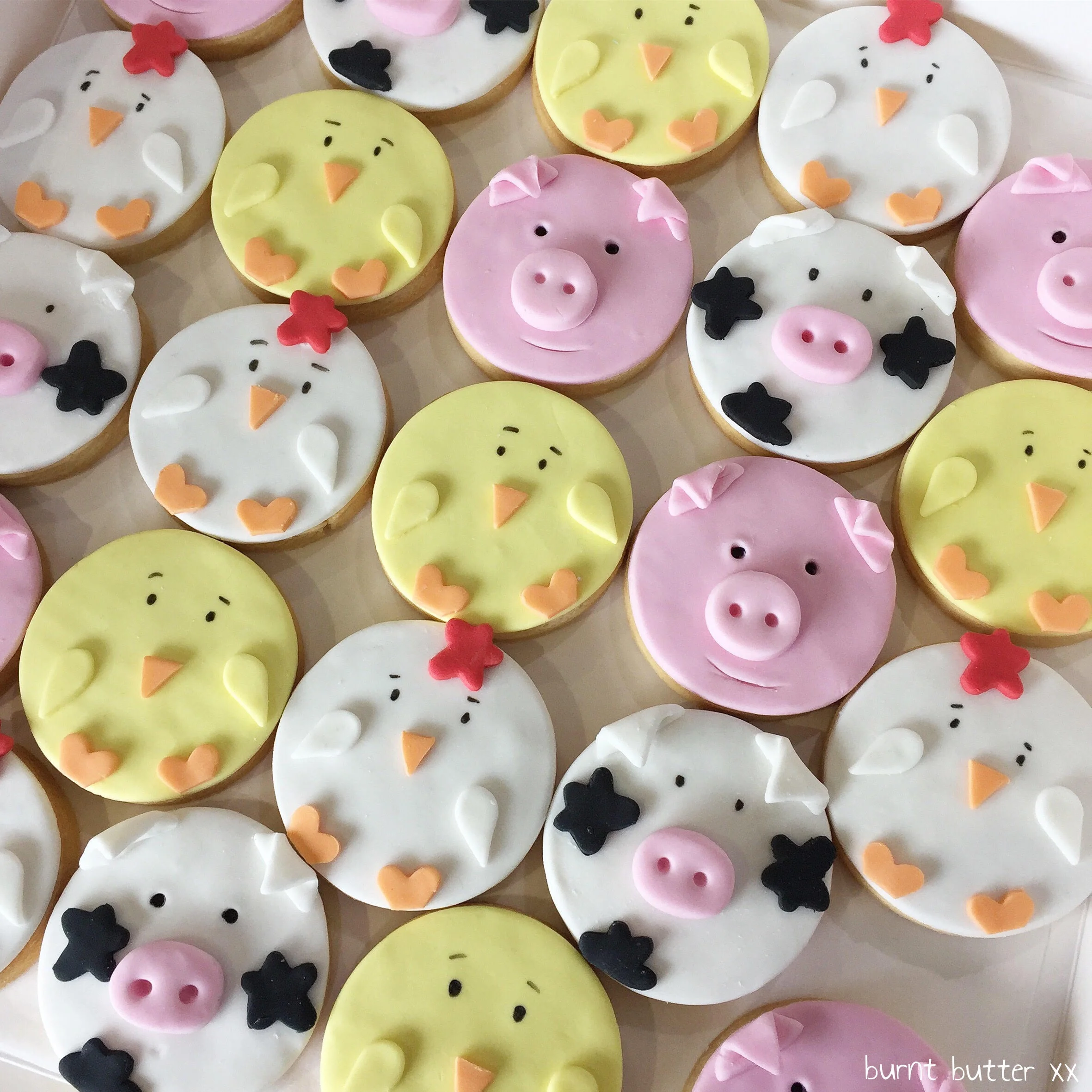 Animal Biscuits.jpg