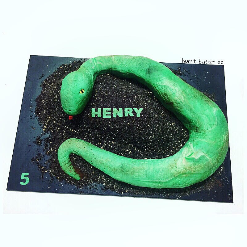 Henry's Reptile Snake Cake