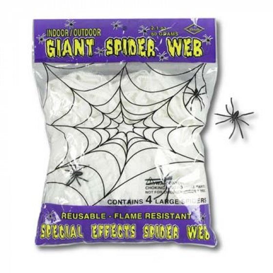 Giant Spider Web.jpg