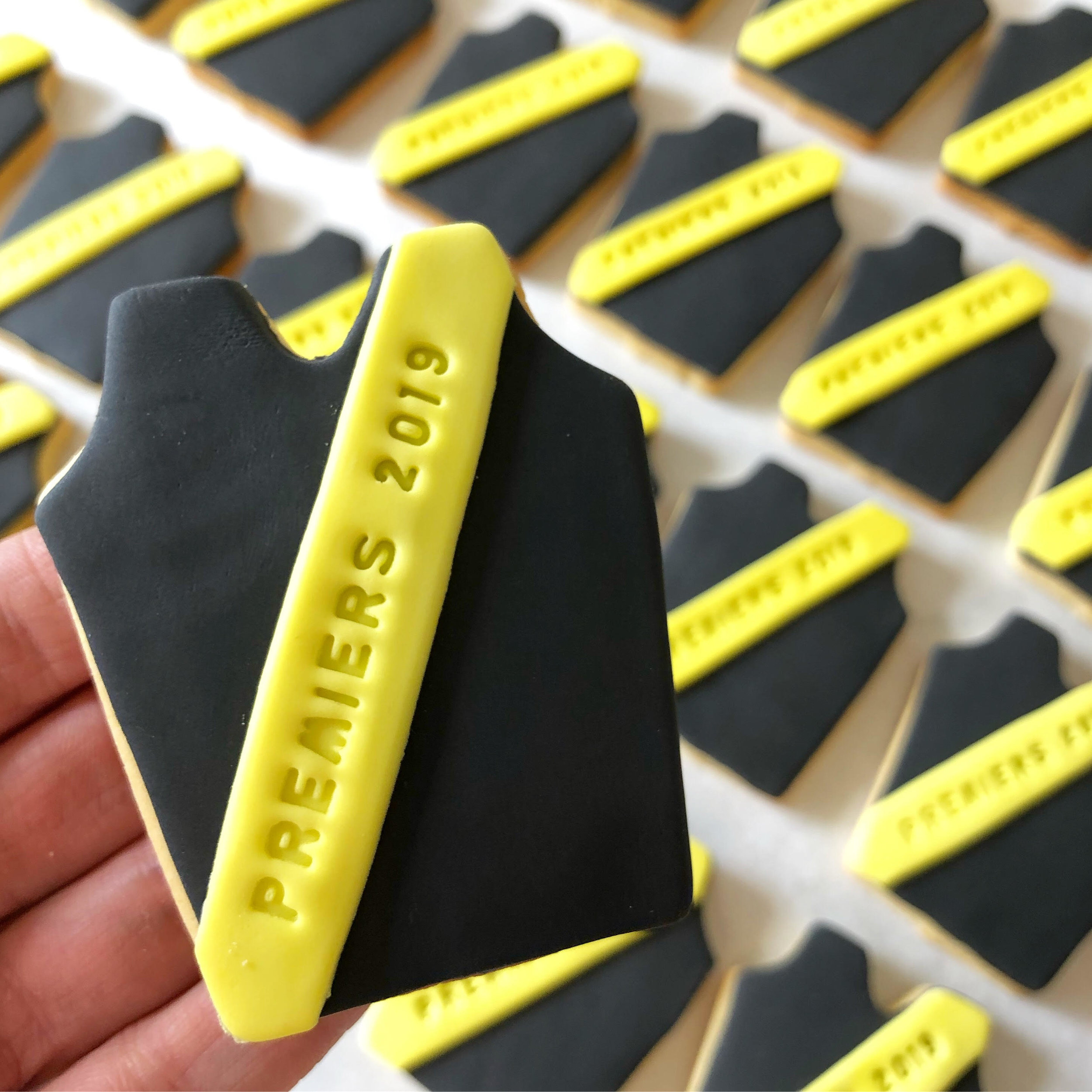 Richmond Jumper Cookies Premiers 2019 3.jpg