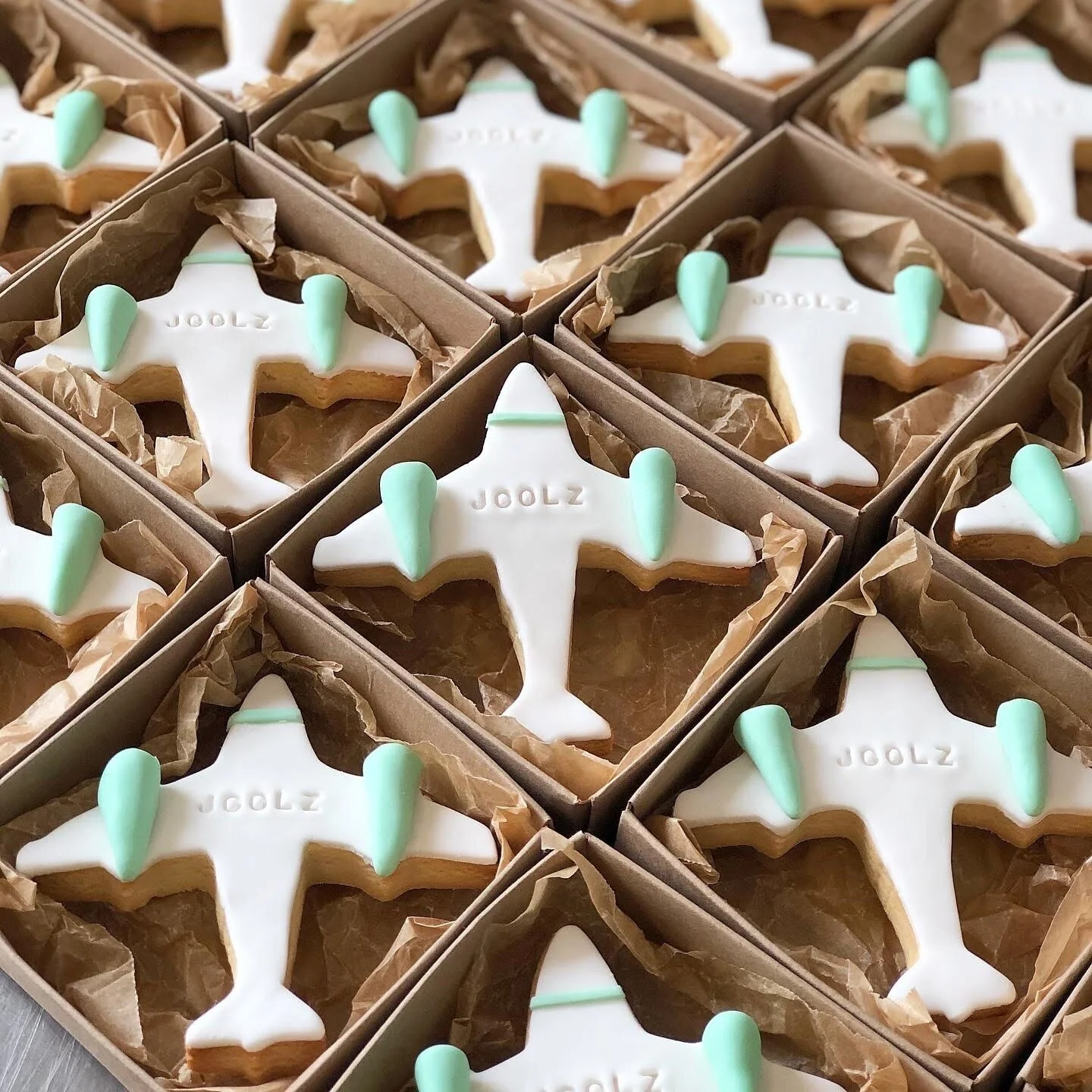 Aeroplane+Cookies.jpg