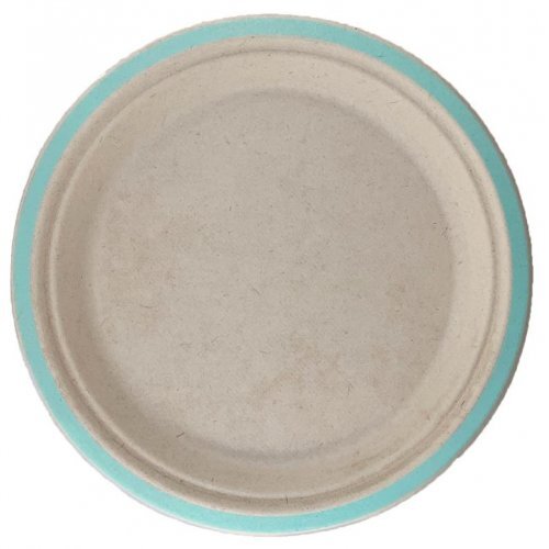 Mint_Plate_Sugarcane_Small_Plates.jpg