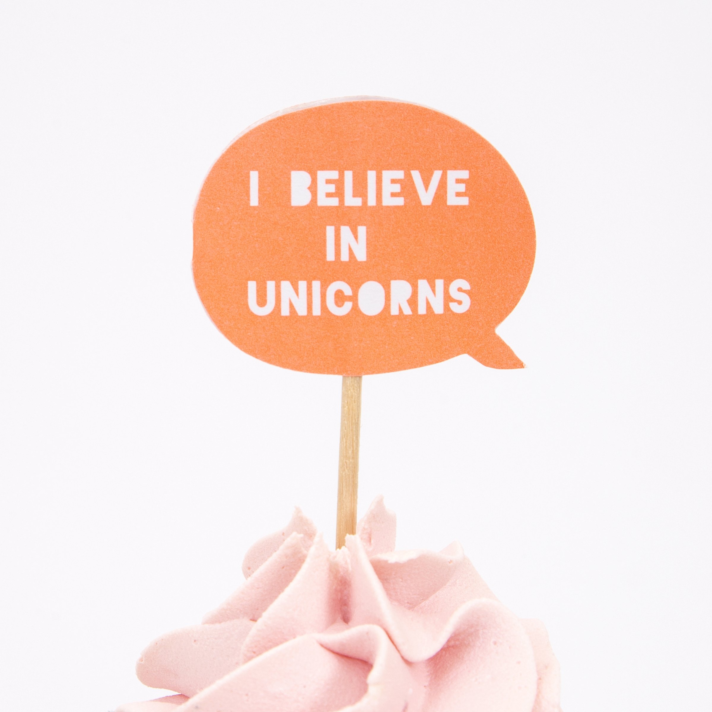 I-Believe-In-Unicorns-Cupcake-Kit-3.jpeg
