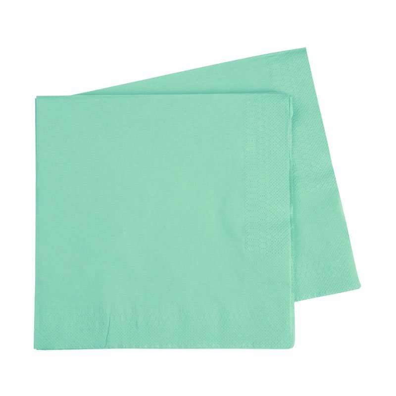 Lunch-Napkin-Mint-Green.jpg