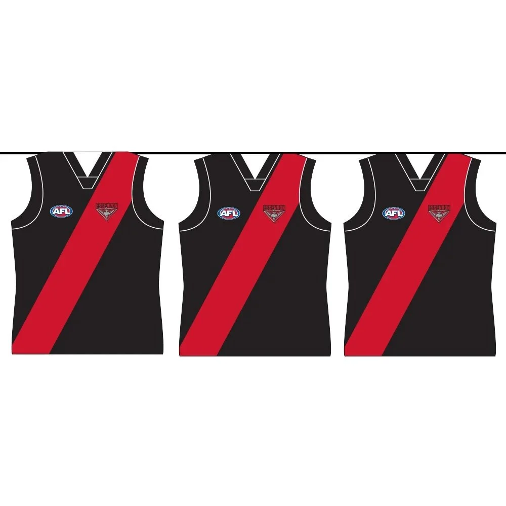 Essendon+Party+Bunting.jpeg