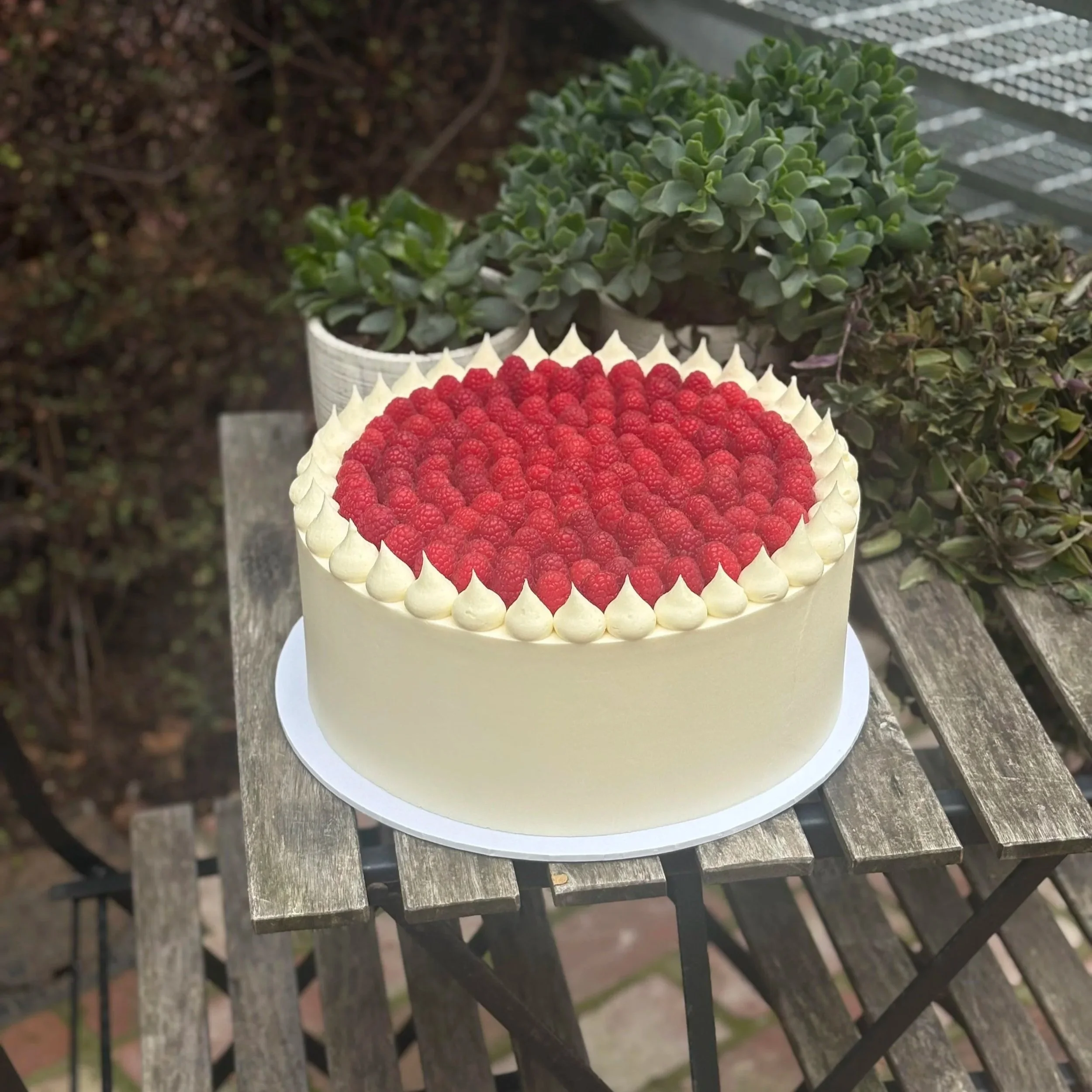 Fresh Raspberry Round Shaped Cake