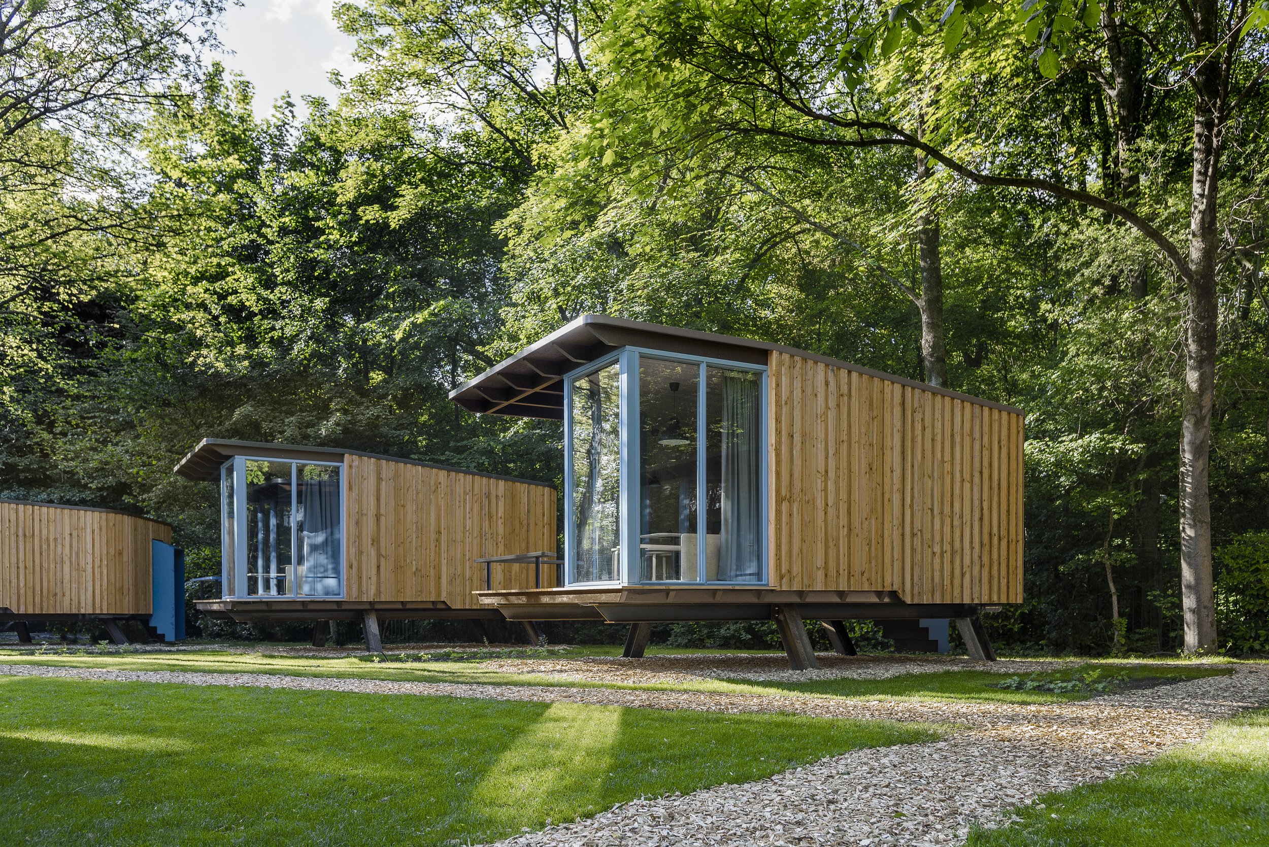 an urban-forest cabin with a wow-factor (AWARD NOMINEE)