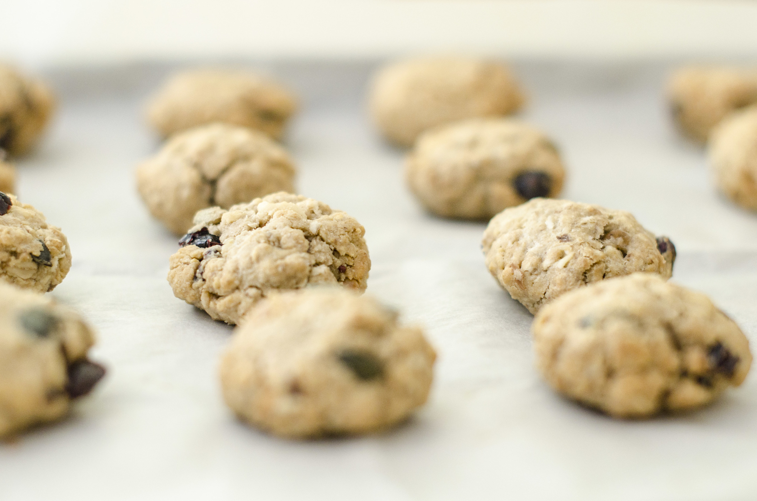 Granola cookies with cranberries, sunflower seeds, and Tahini..