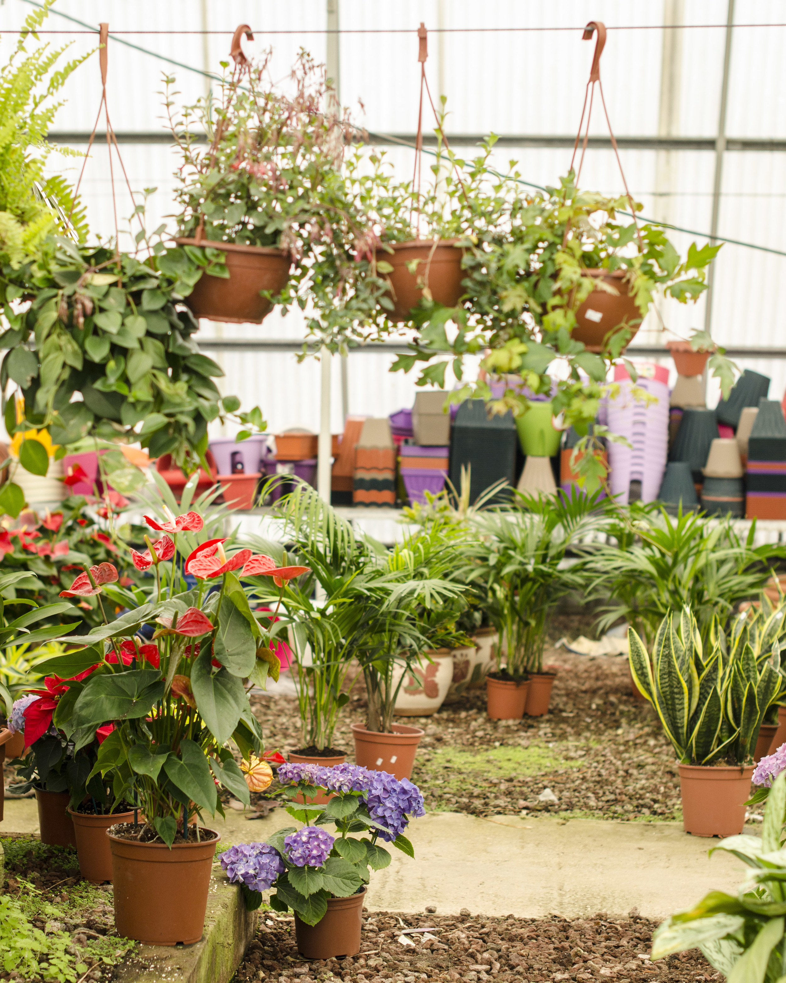 At the nursery