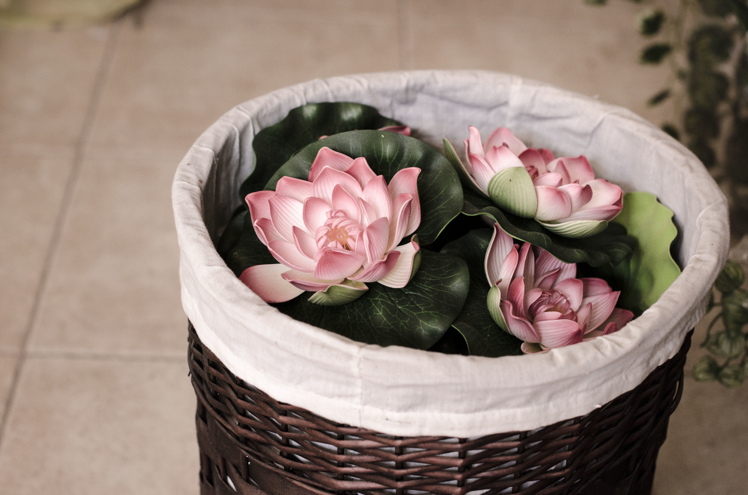 Plastic pink Nufar.