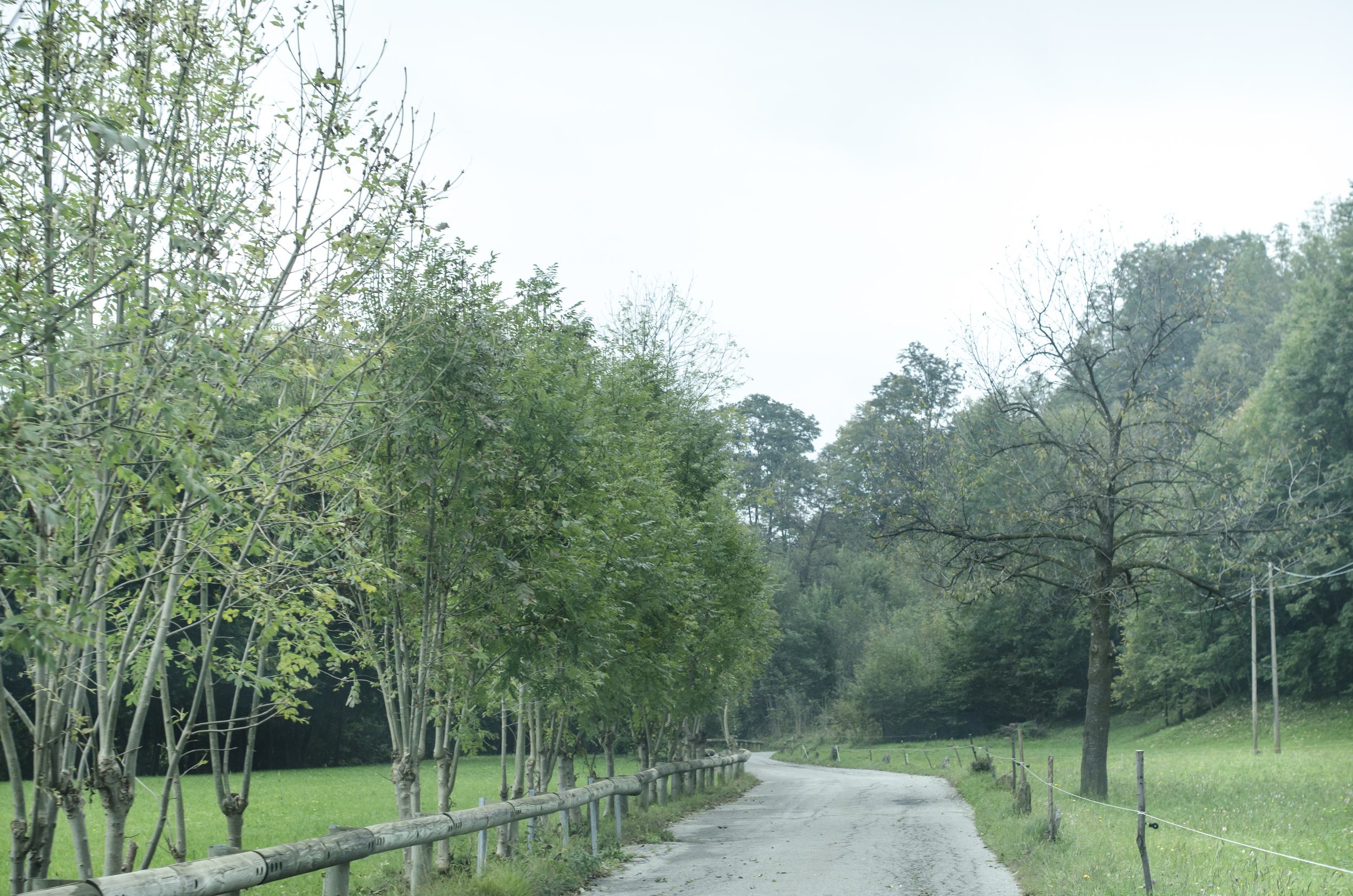 Narrow country side roads on our way to Trausella