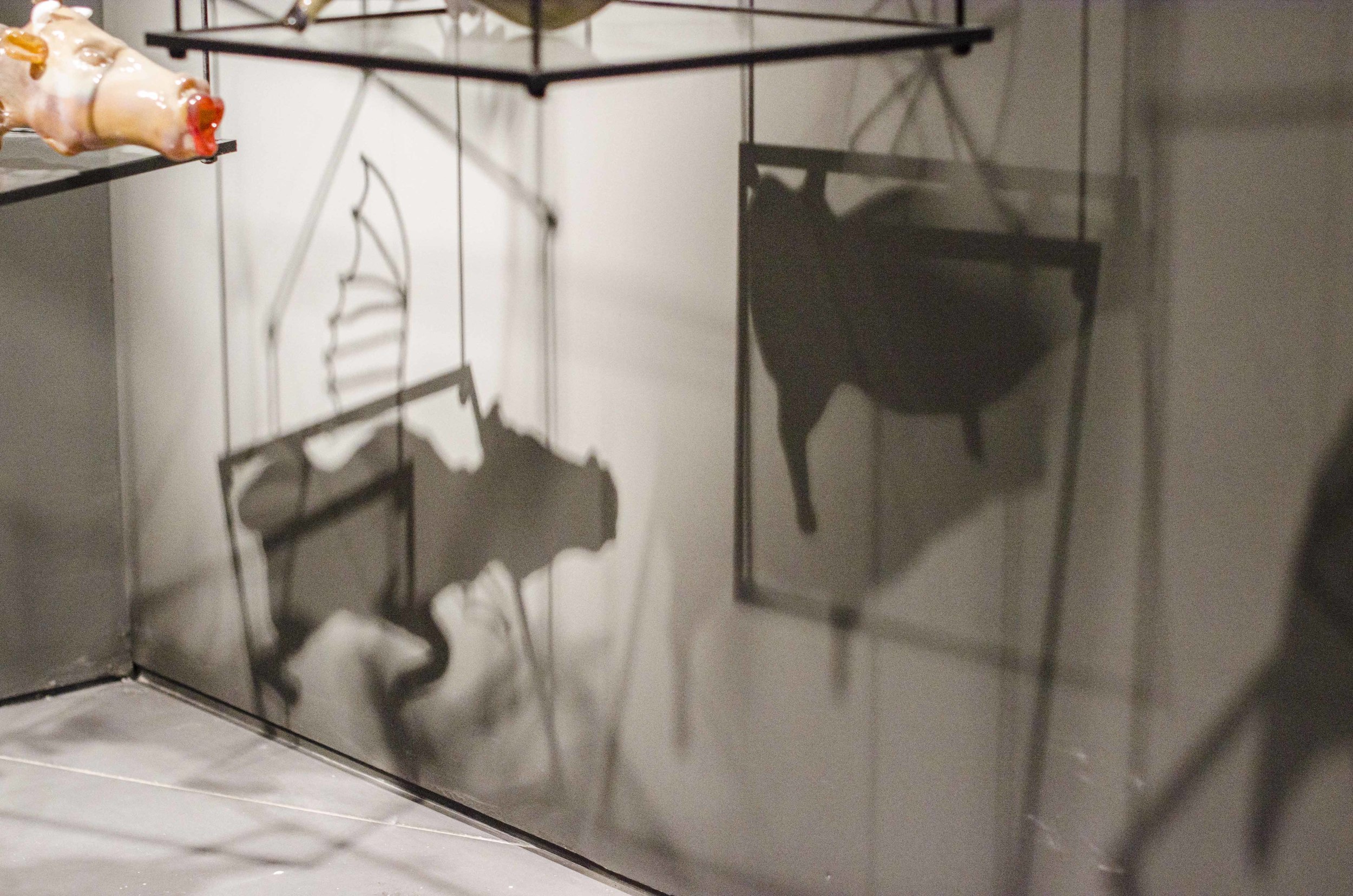 Flying Shadows.
