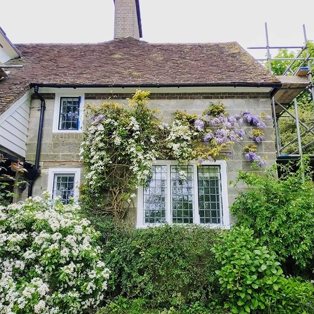 Morning walk at East Grinstead 
Thanks to awesome @ronirivlin ✨💖✨ @contemporary_dreaming @the_real_nikko_wolf @ronelitzur

#England #eastgrinstead #morning #garden #englishgardens #houseandgardenuk #uk #lifestyle  #lifestylephotography #colorful #tr