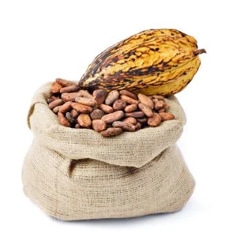 FOTO: HTTP://VEGETARIAN.LOVETOKNOW.COM/RAW_CACAO_SIDE_EFFECTS
